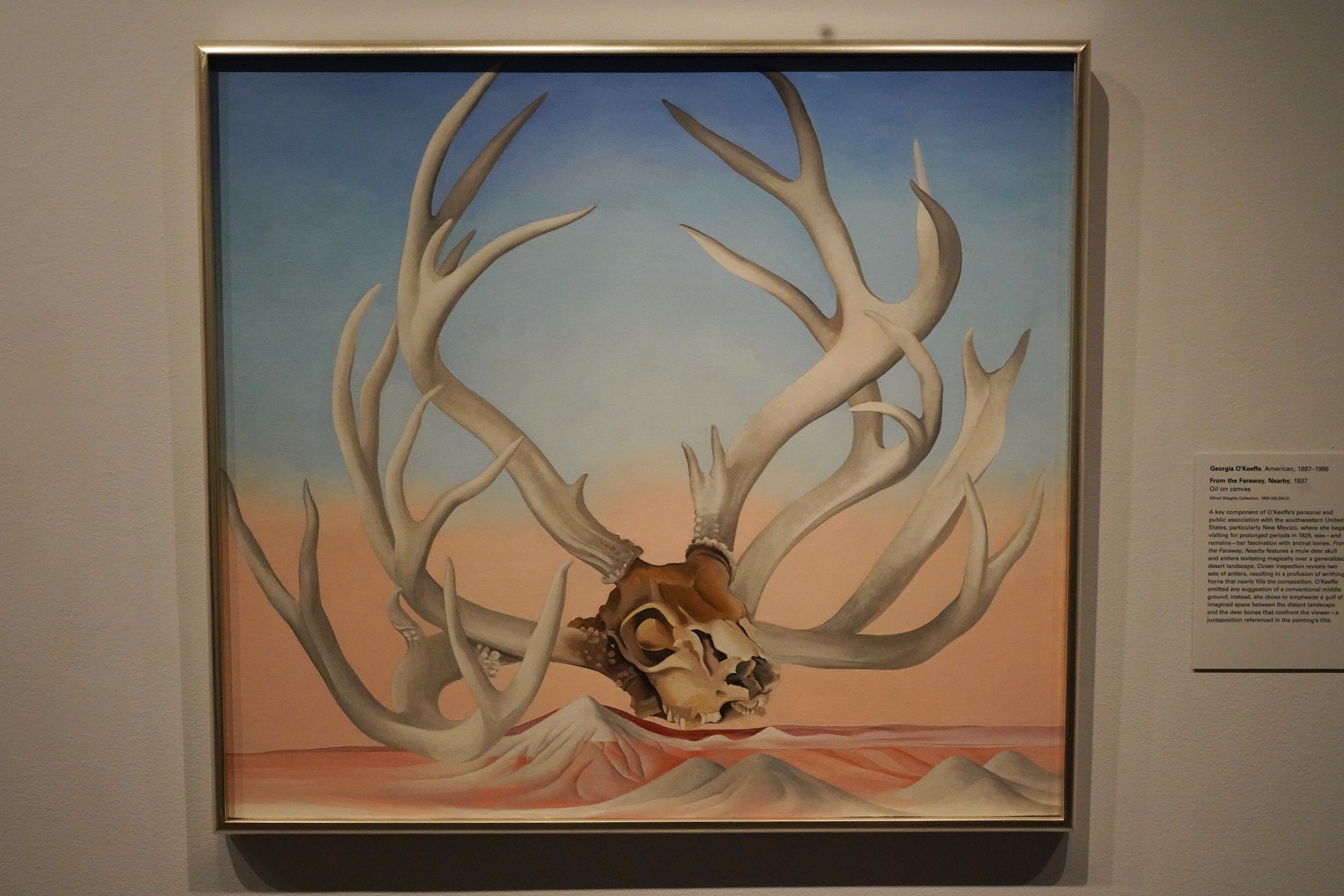 Met Museum Modern Arts (47)