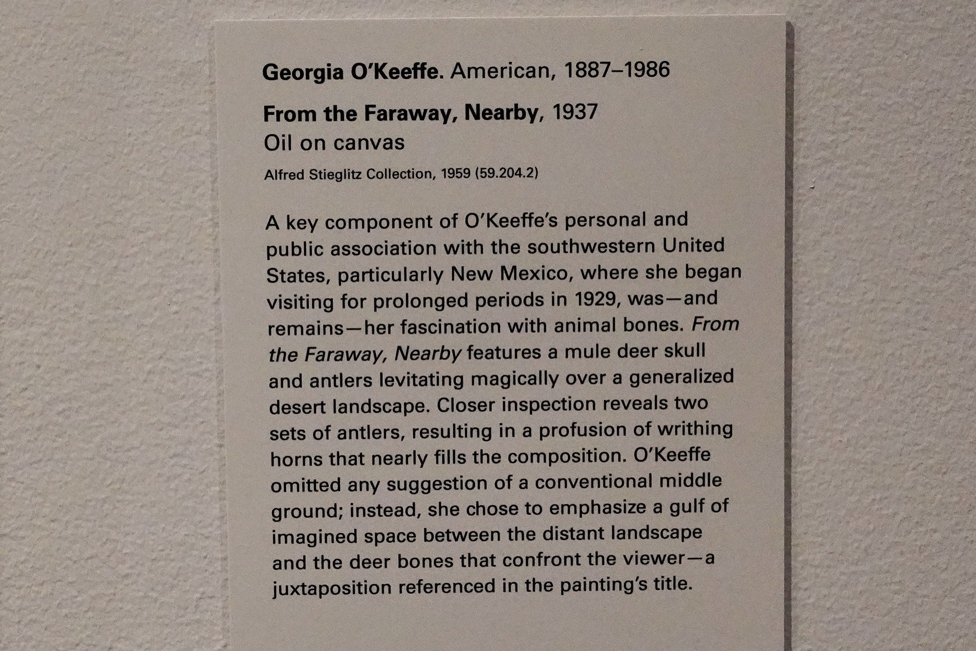 Met Museum Modern Arts (48)