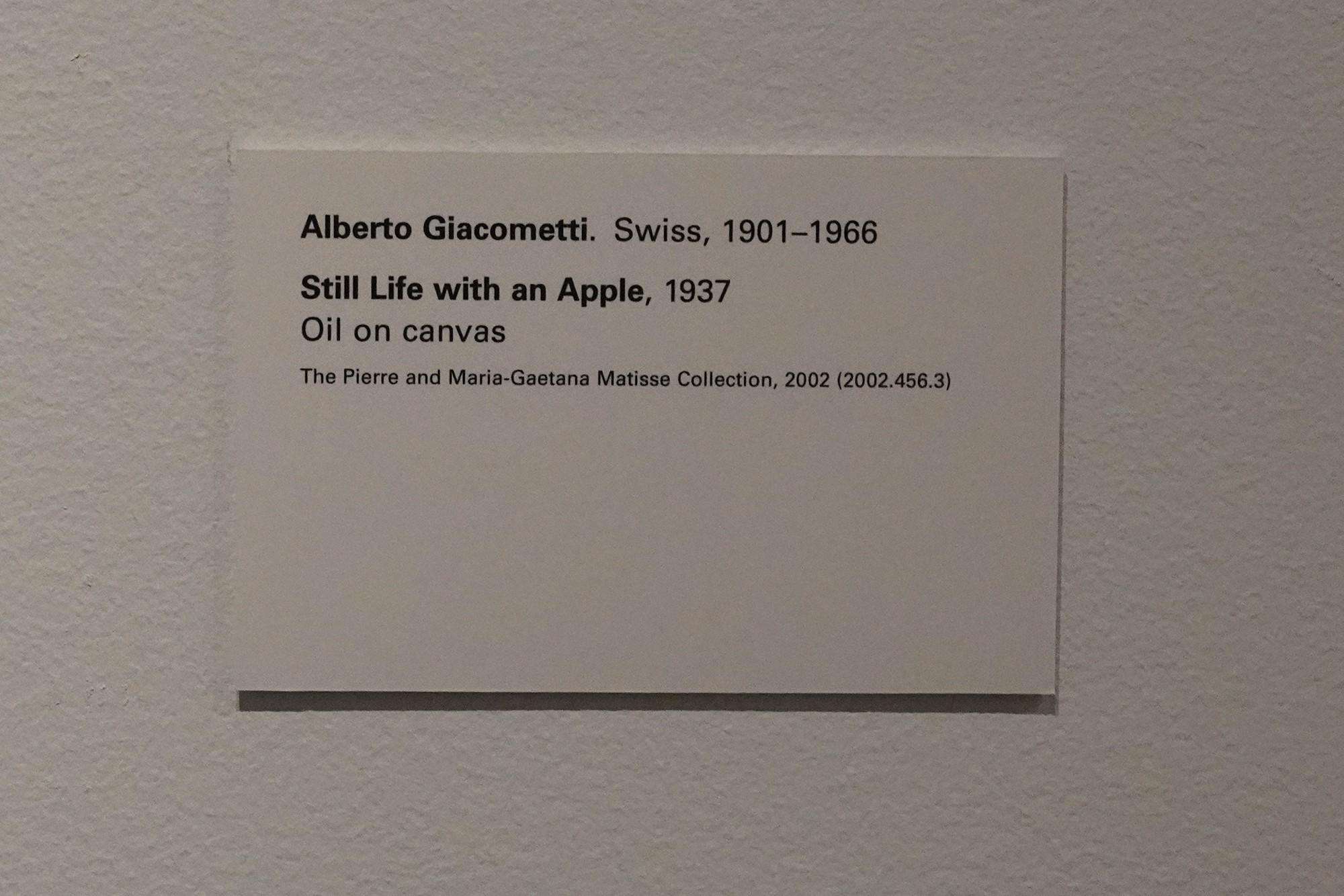 Met Museum Modern Arts (54)