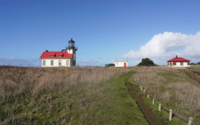 Mendocino 2, California, USA