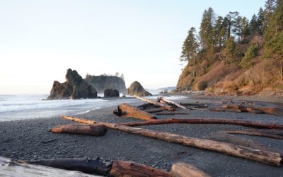 Olympic National Park 1, Washington, USA