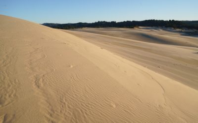 Oregon Coast and Oregon Dunes National Recreation Area, Oregon, USA