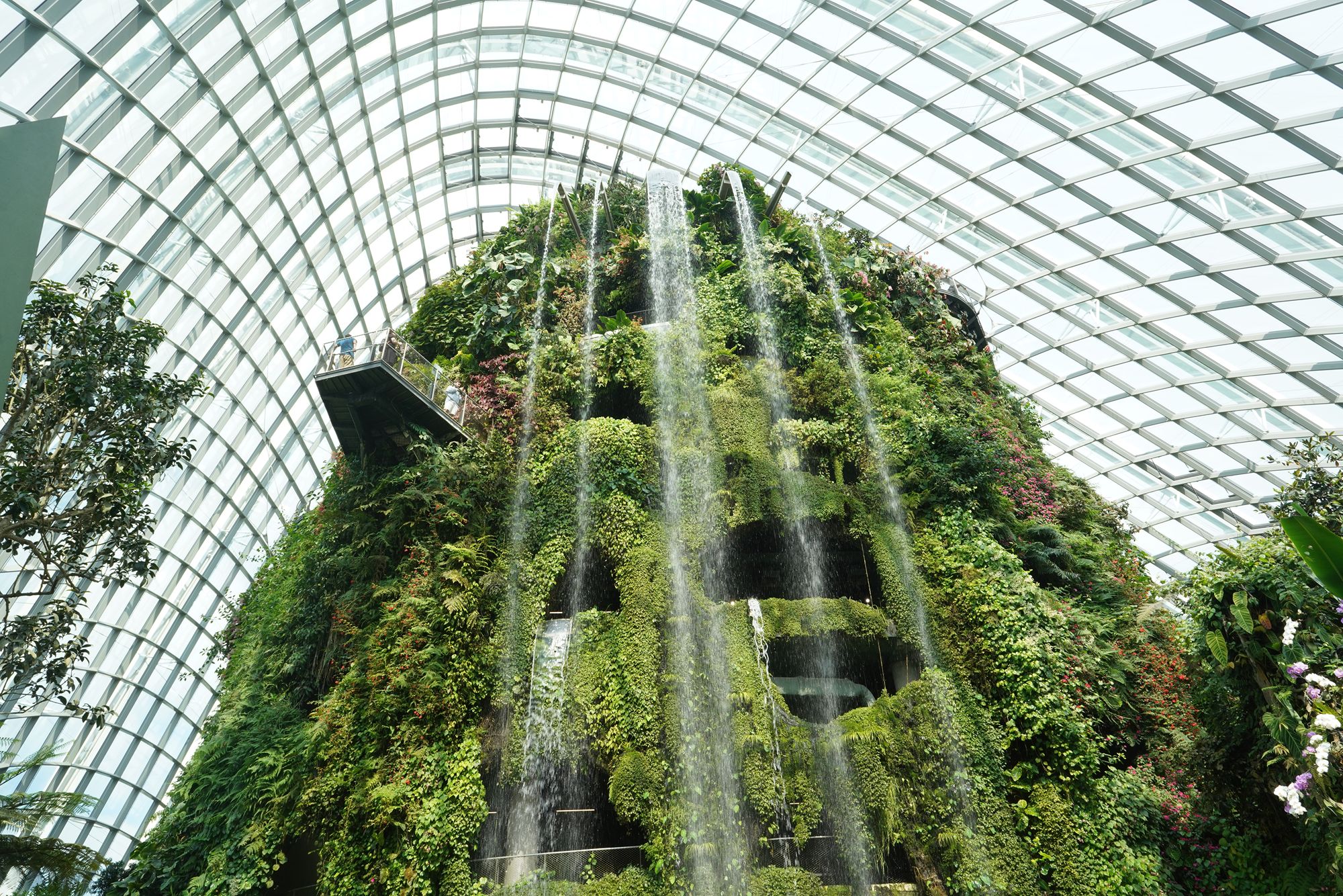 Floral Fantasy, Cloud Forest and Lau Pa Sat Hawk Center, Singapore