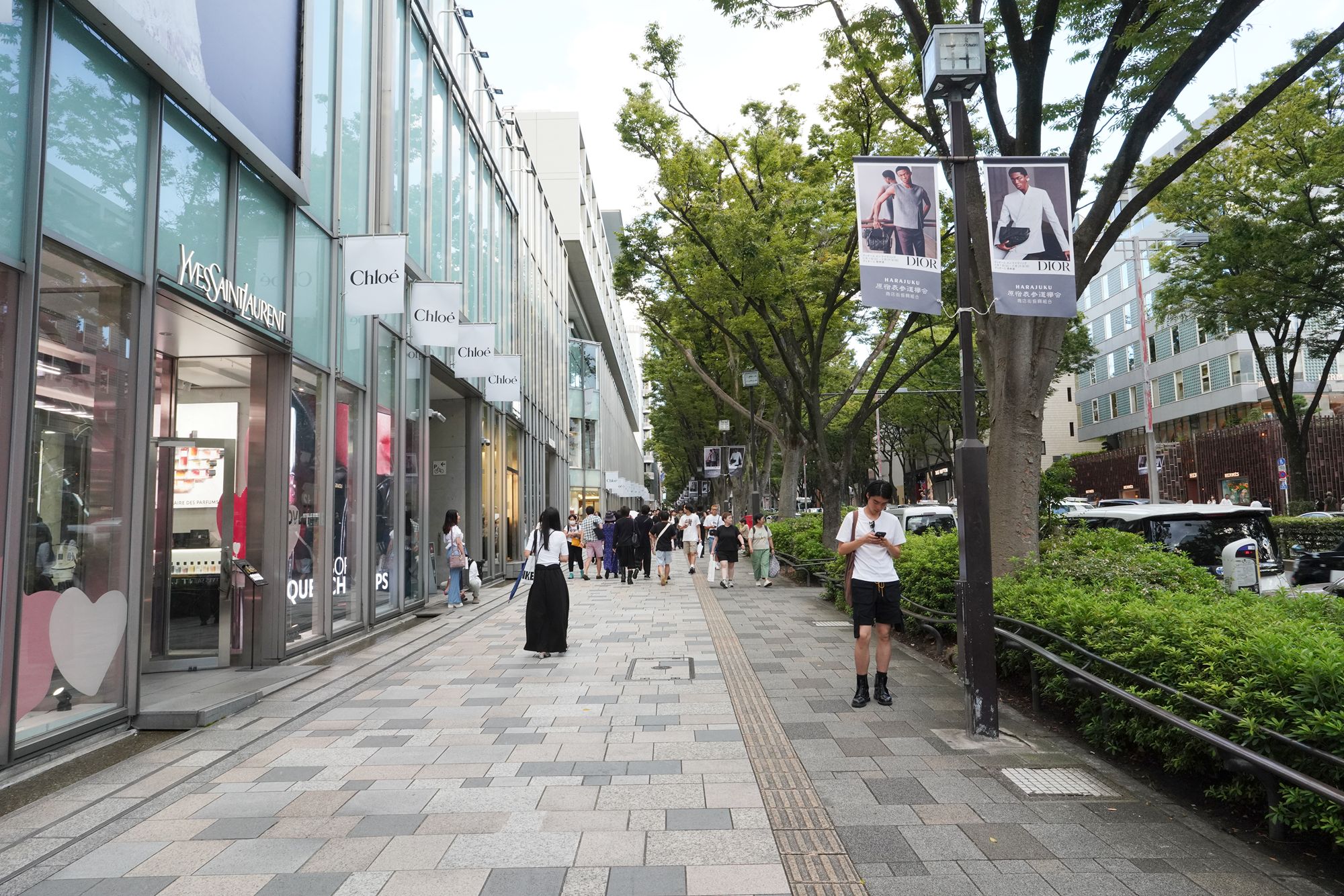 Takeshita Street, Meiji Jingu, Omotesando, and Cat Street, Tokyo, Japan