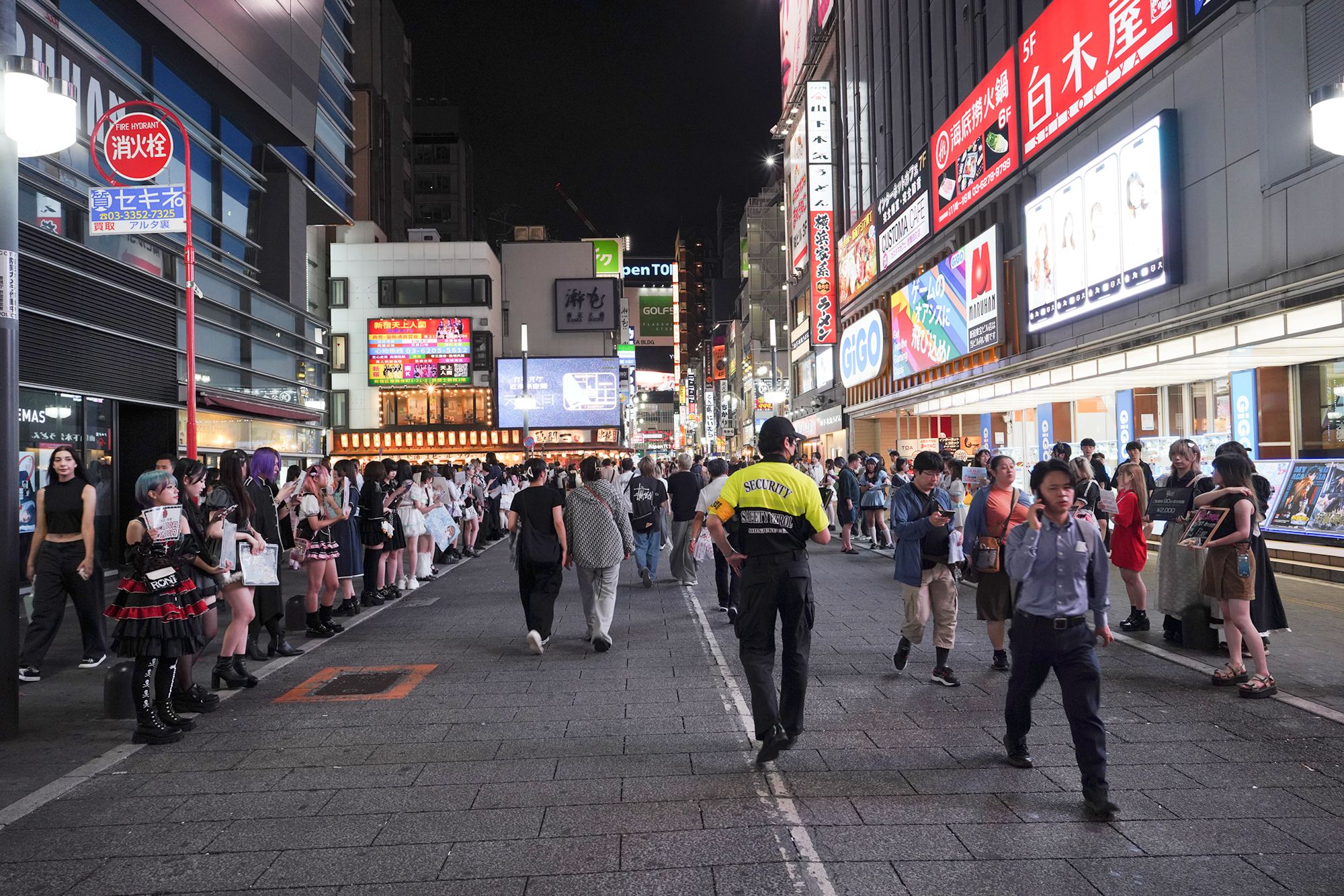 Akihabara and Shinjuku, Tokyo, Japan