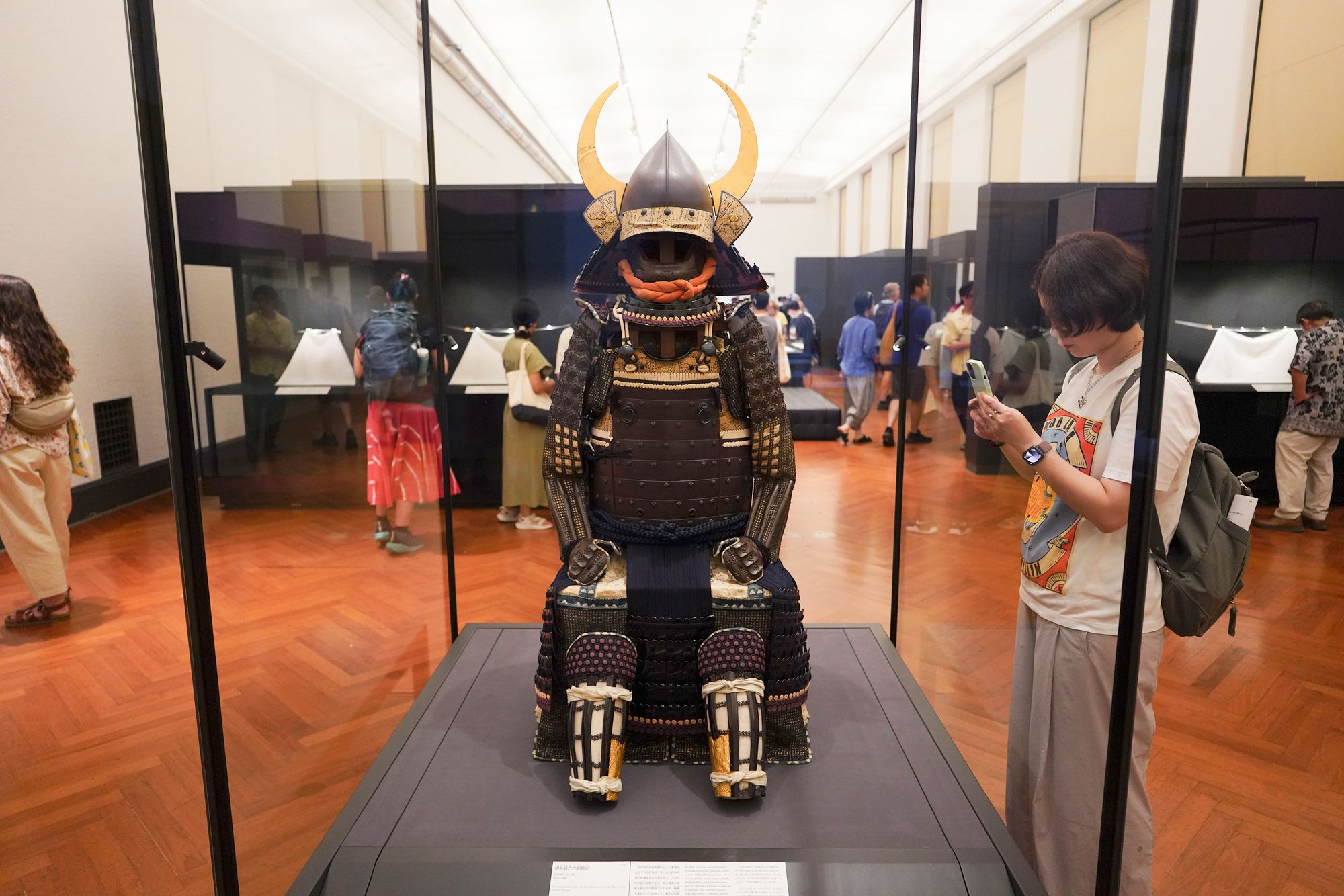 Tokyo National Museum, Main and Asian Galleries, Japan