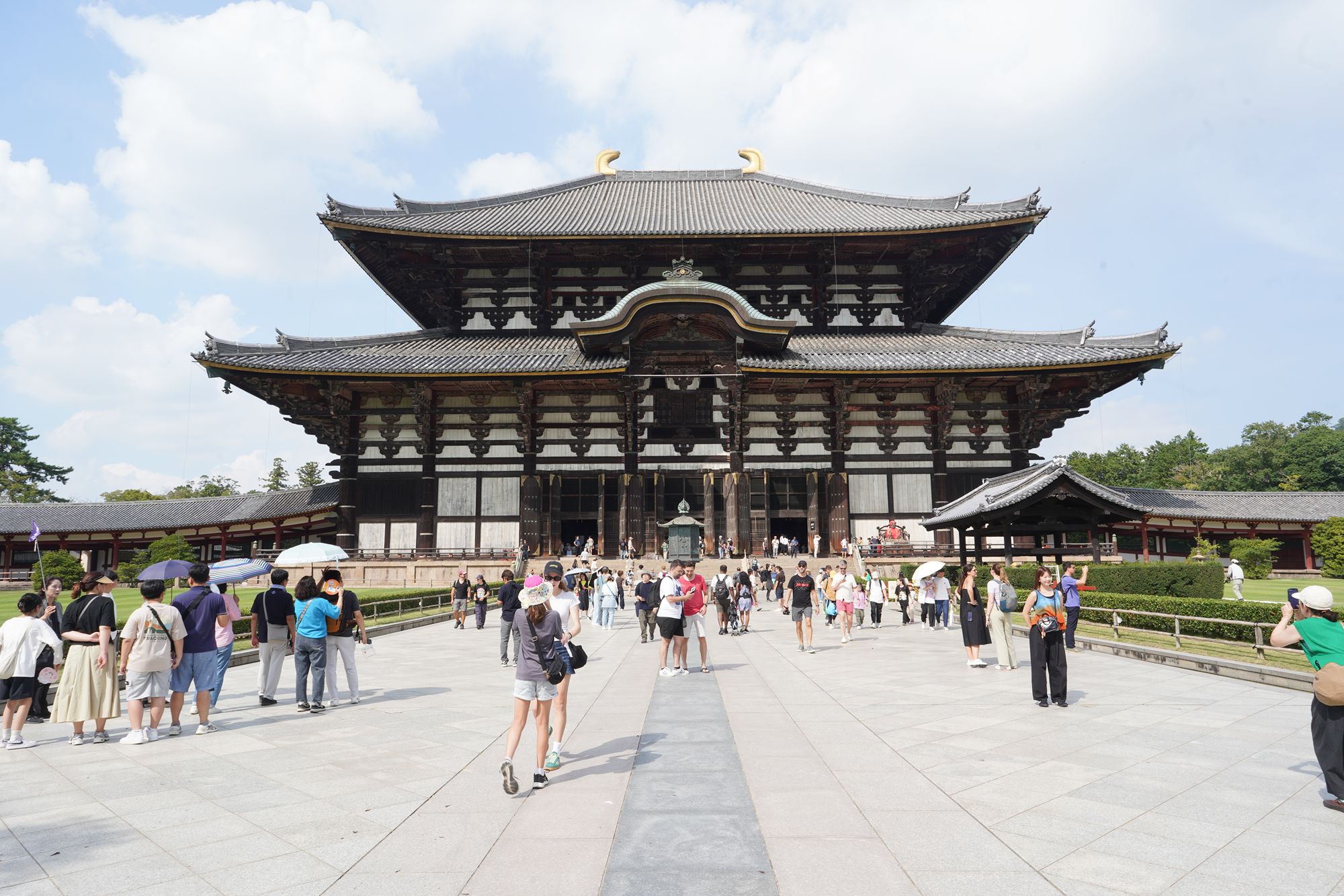 Nara Day Trip from Osaka, Japan
