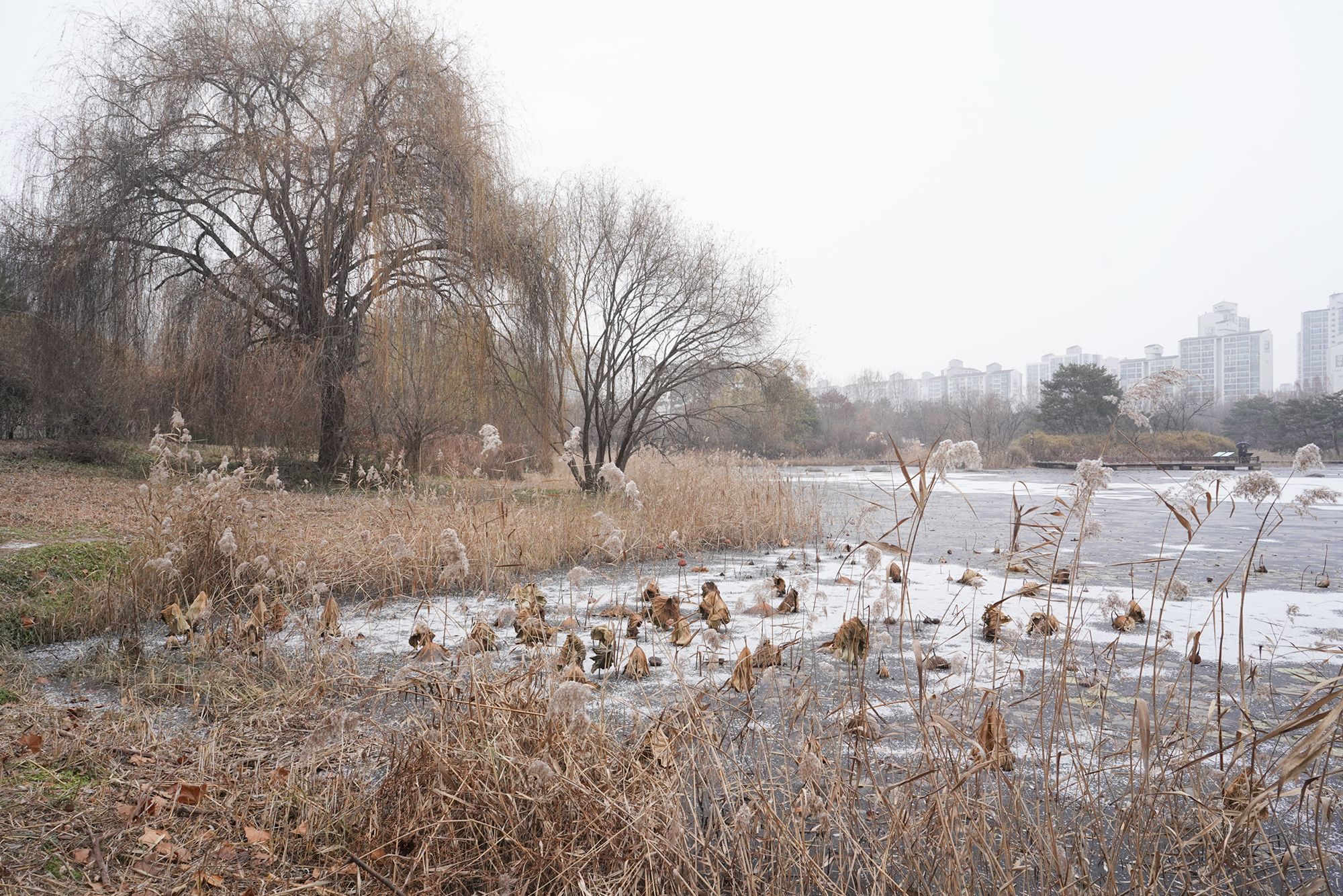 Ilsan Lake Park, Ilsan, South Korea