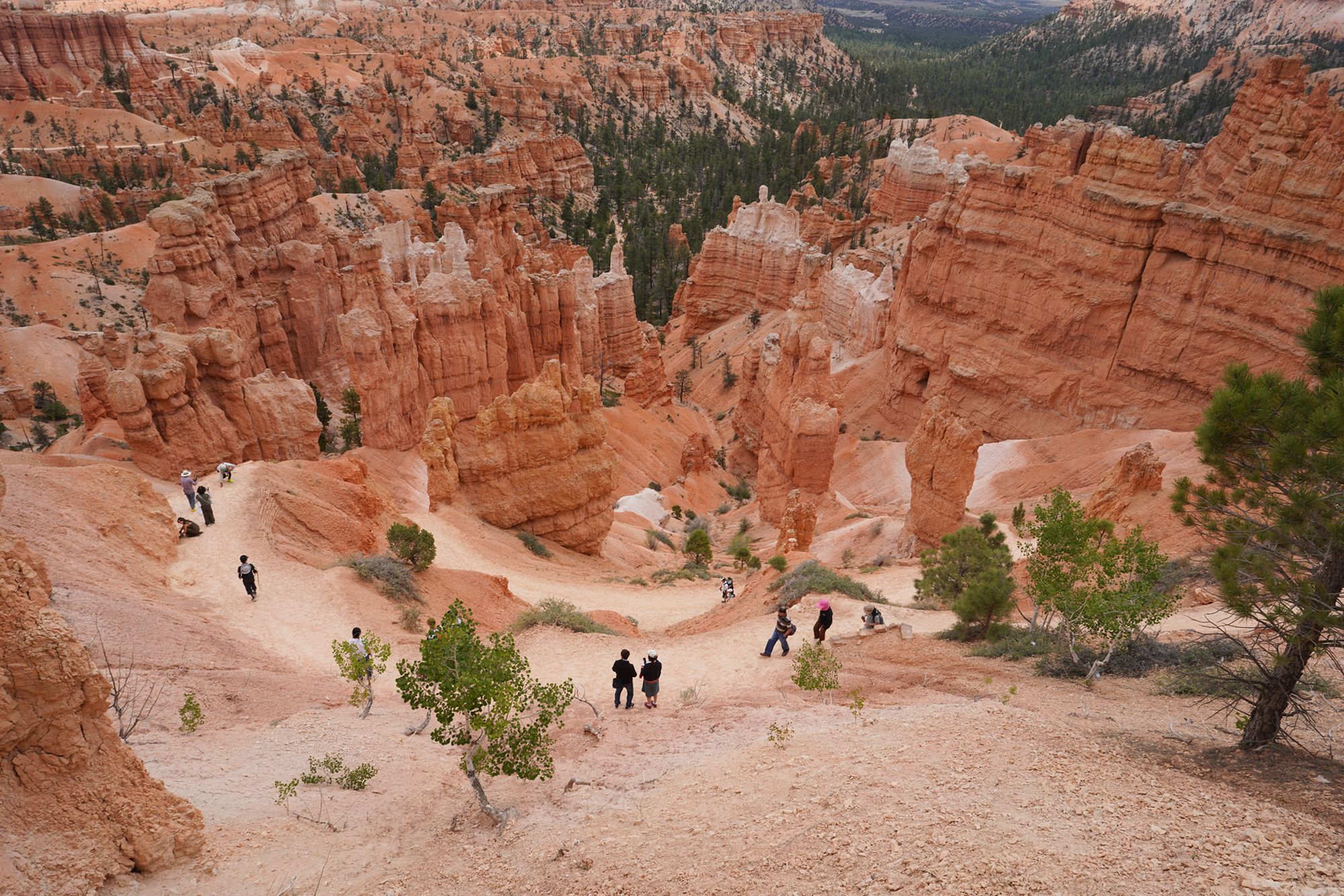 Bryce Canyon – Second Day, Utah