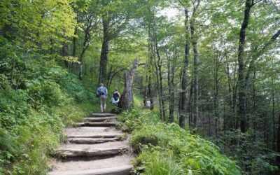 Great Smoky Mountains National Park – Newfound Gap and Clingman’s Dome, Tennessee, USA