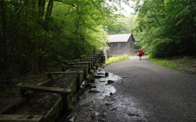 Great Smoky Mountain National Park – Newfound Gap Road, Oconaluftee Visitor Center, and Bryson City, North Carolina, USA