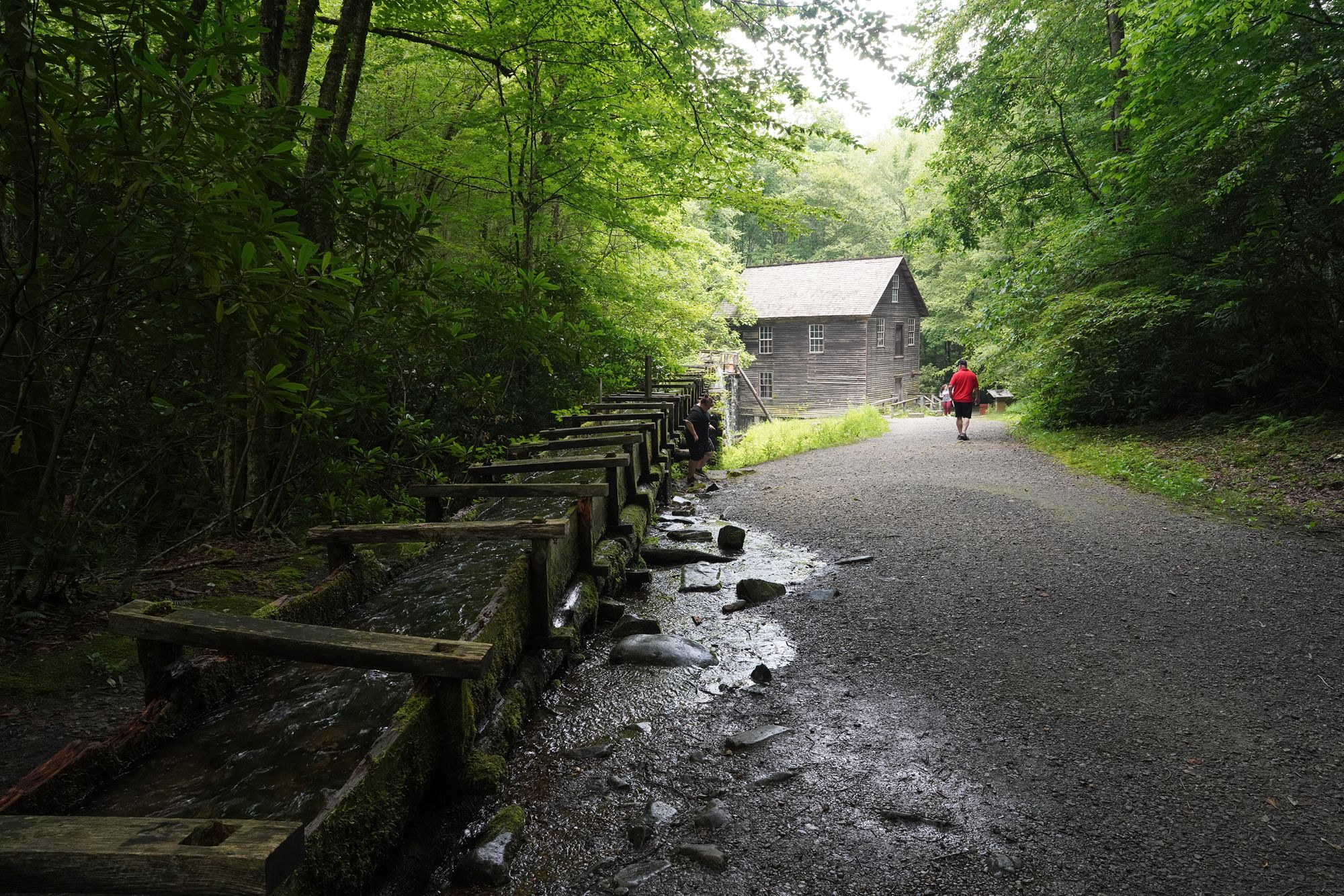 Great Smoky Mountain National Park – Newfound Gap Road, Oconaluftee Visitor Center, and Bryson City, North Carolina, USA