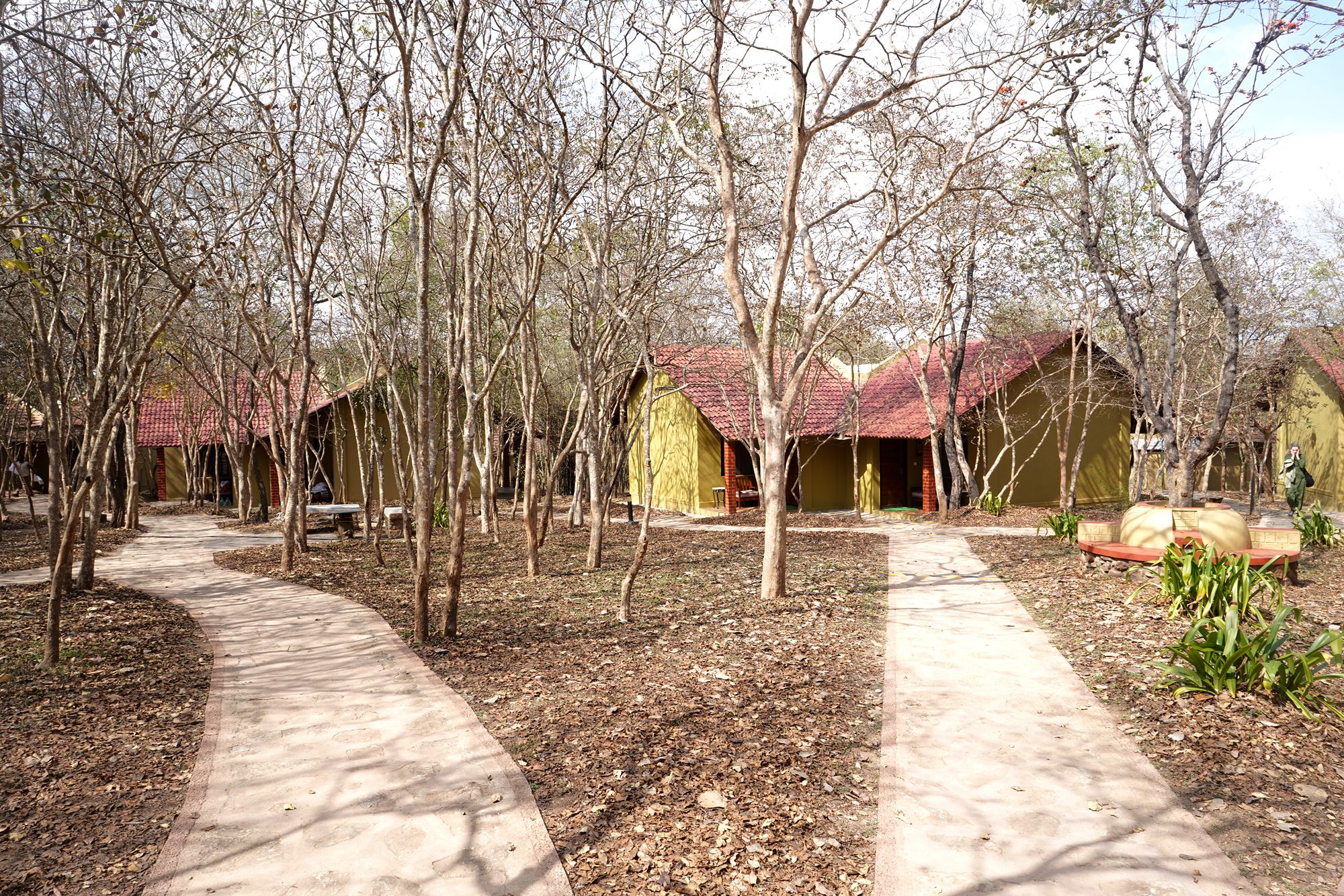 Coonoor, Muduralai NP (102)