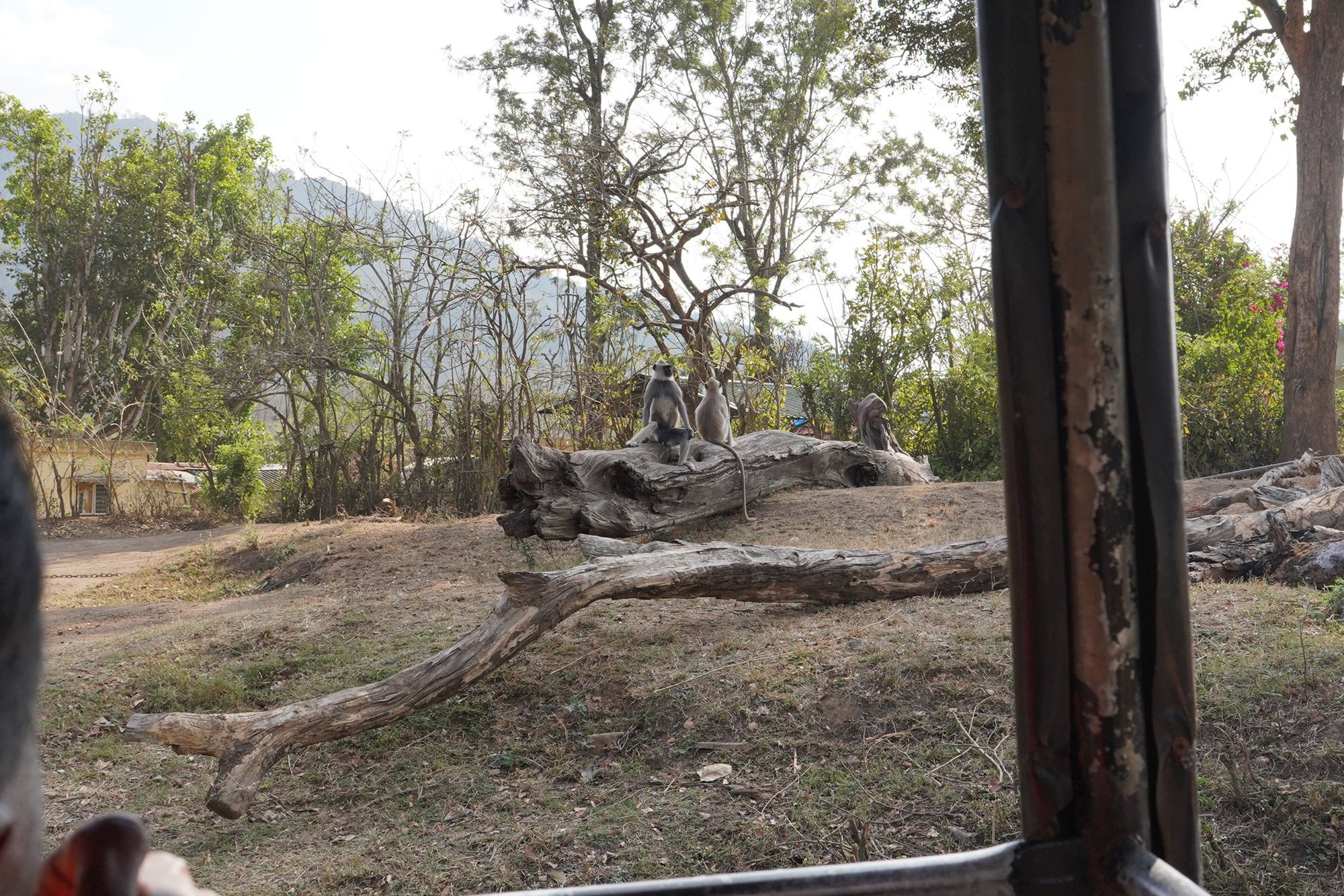 Coonoor, Muduralai NP (107)