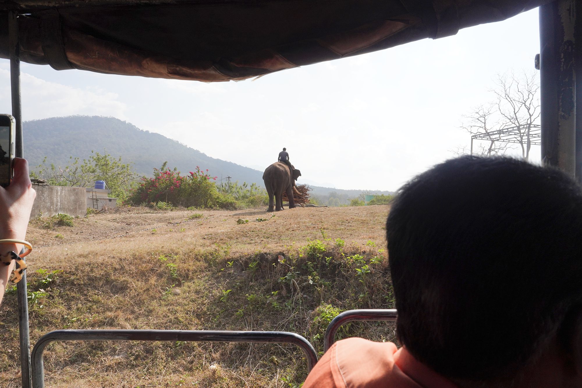 Coonoor, Muduralai NP (110)
