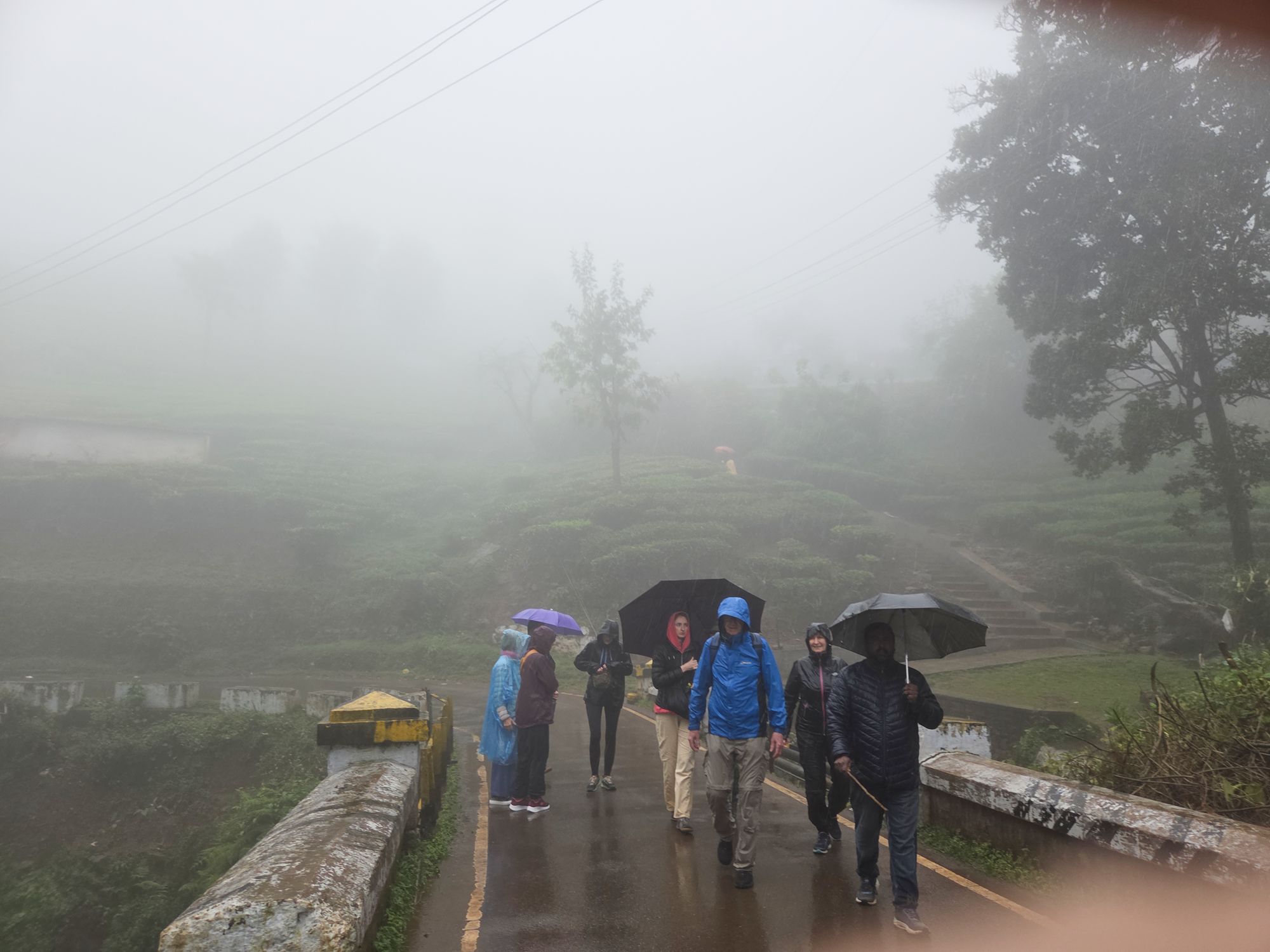 Coonoor, Muduralai NP (17)