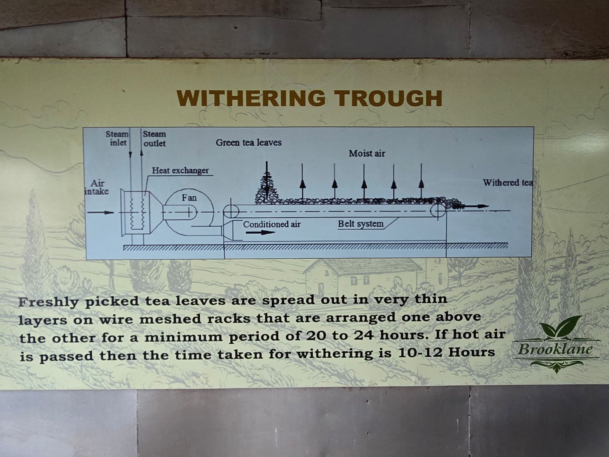 Coonoor, Muduralai NP (19)