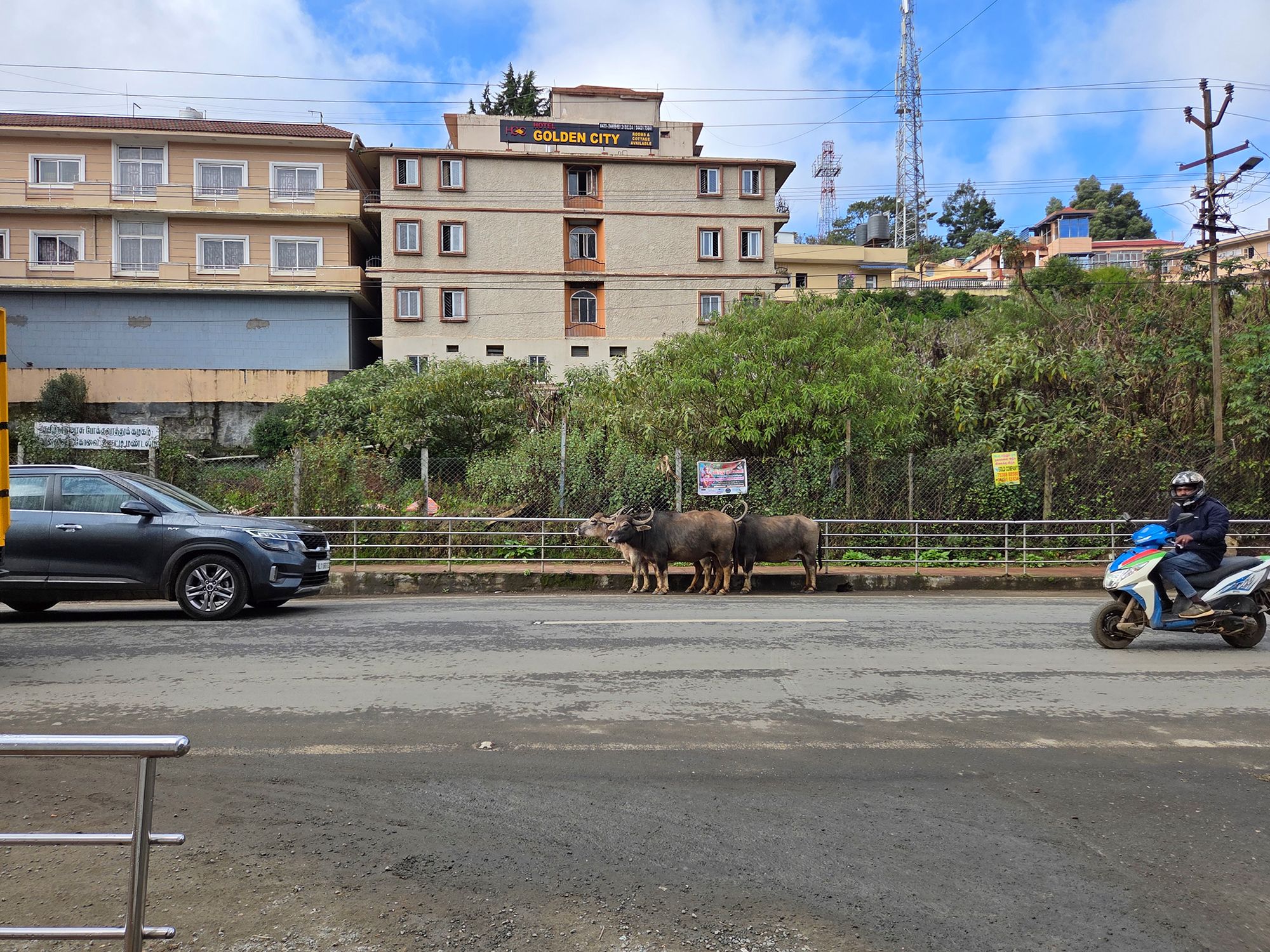 Coonoor, Muduralai NP (41)