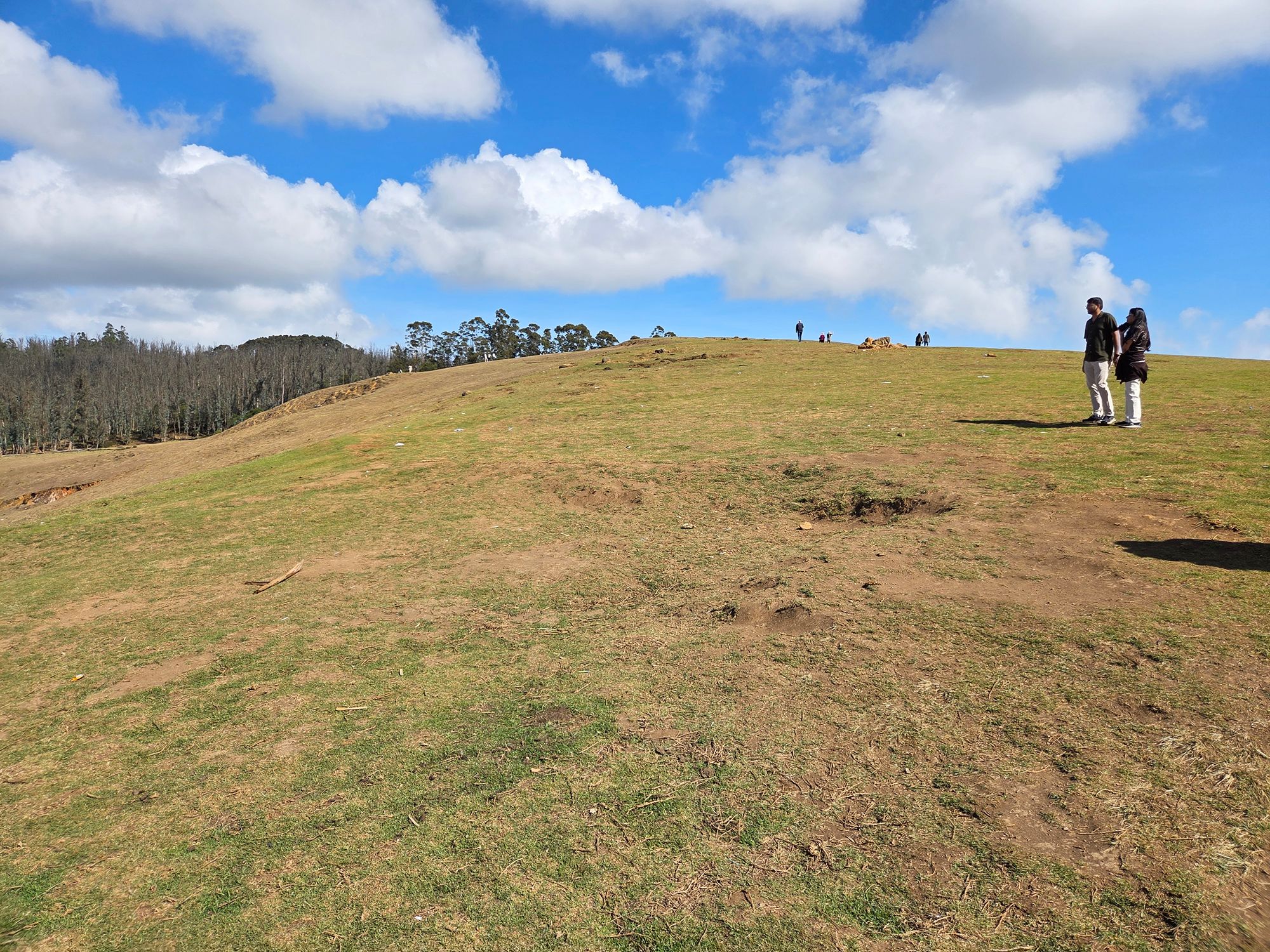 Coonoor, Muduralai NP (47)