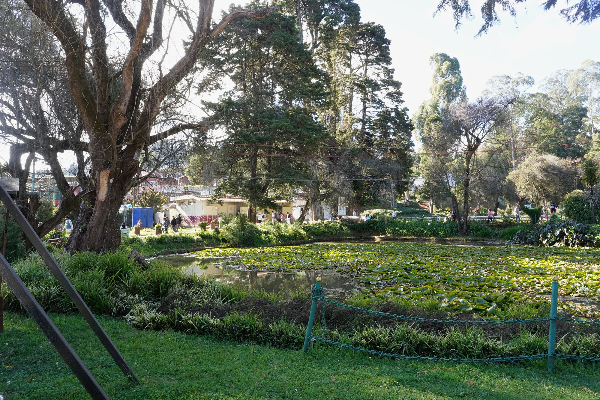 Coonoor, Muduralai NP (51)