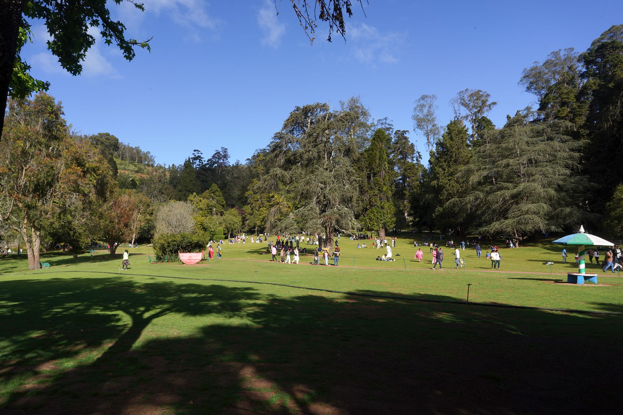 Coonoor, Muduralai NP (57)