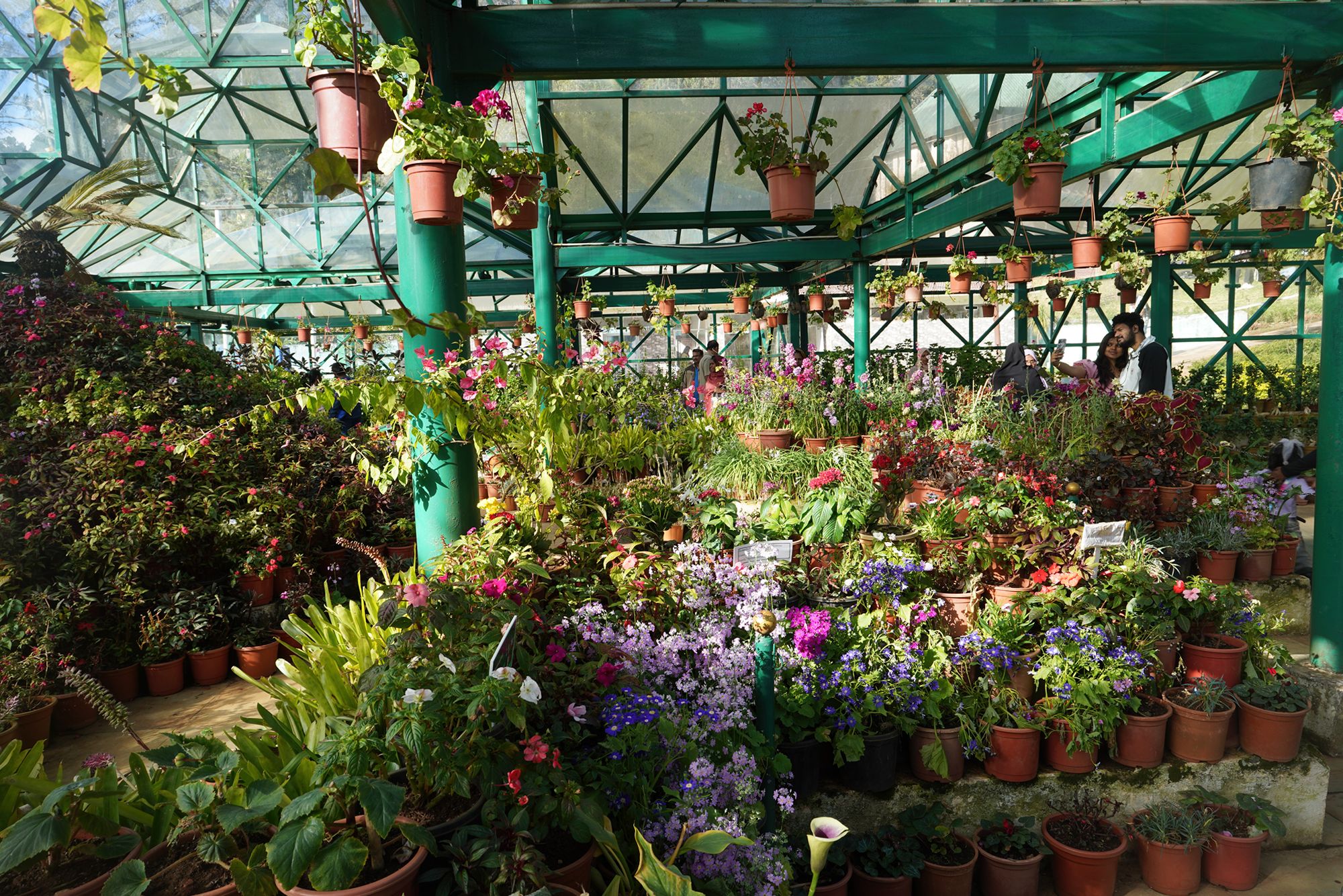 Coonoor, Muduralai NP (65)