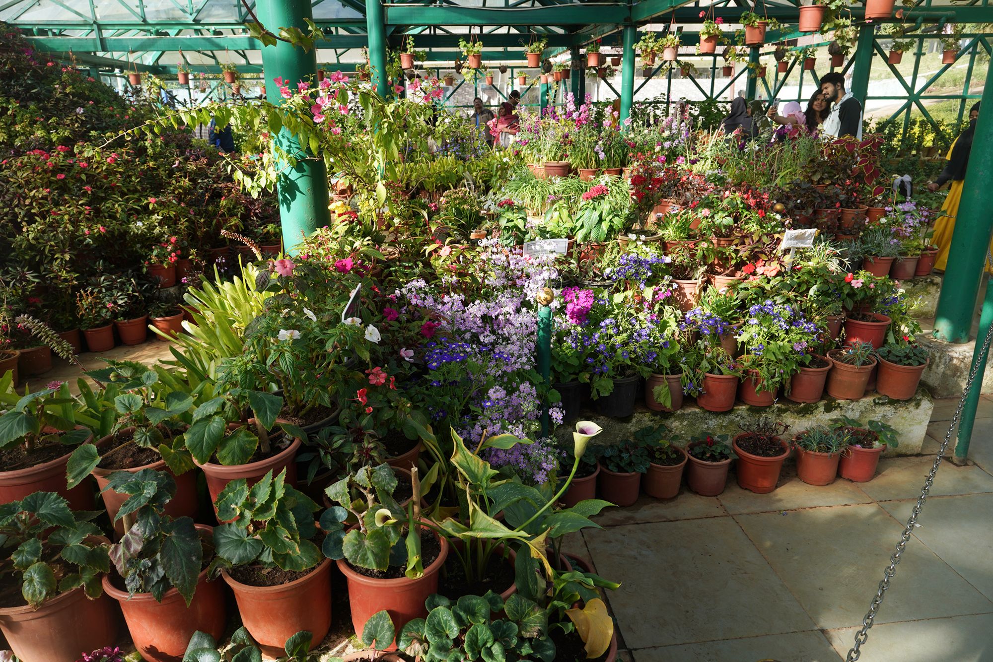 Coonoor, Muduralai NP (66)