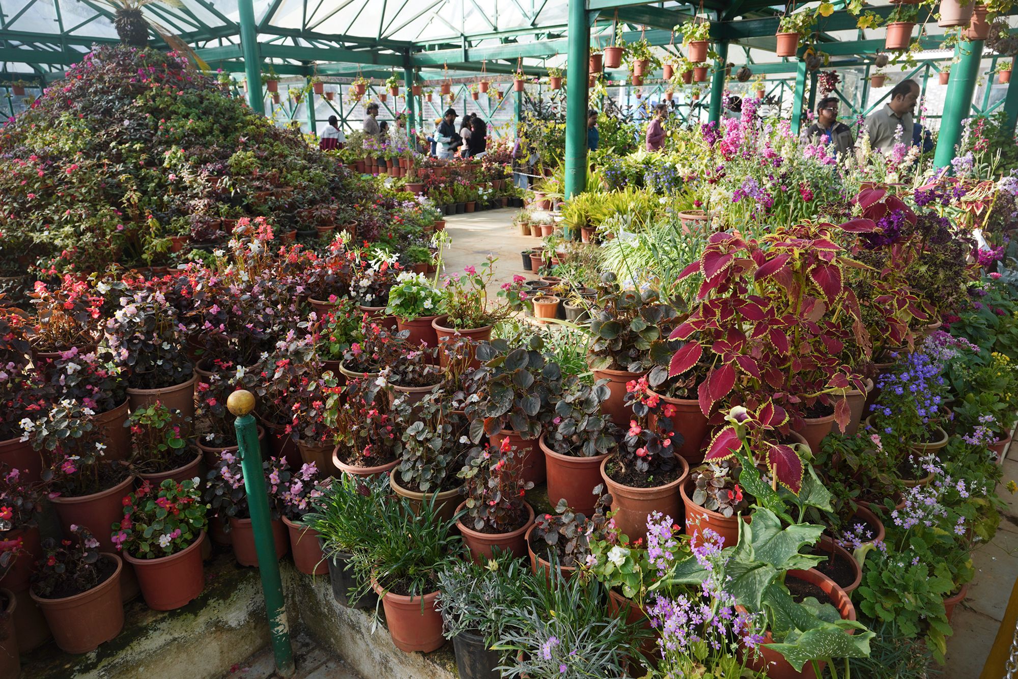 Coonoor, Muduralai NP (68)