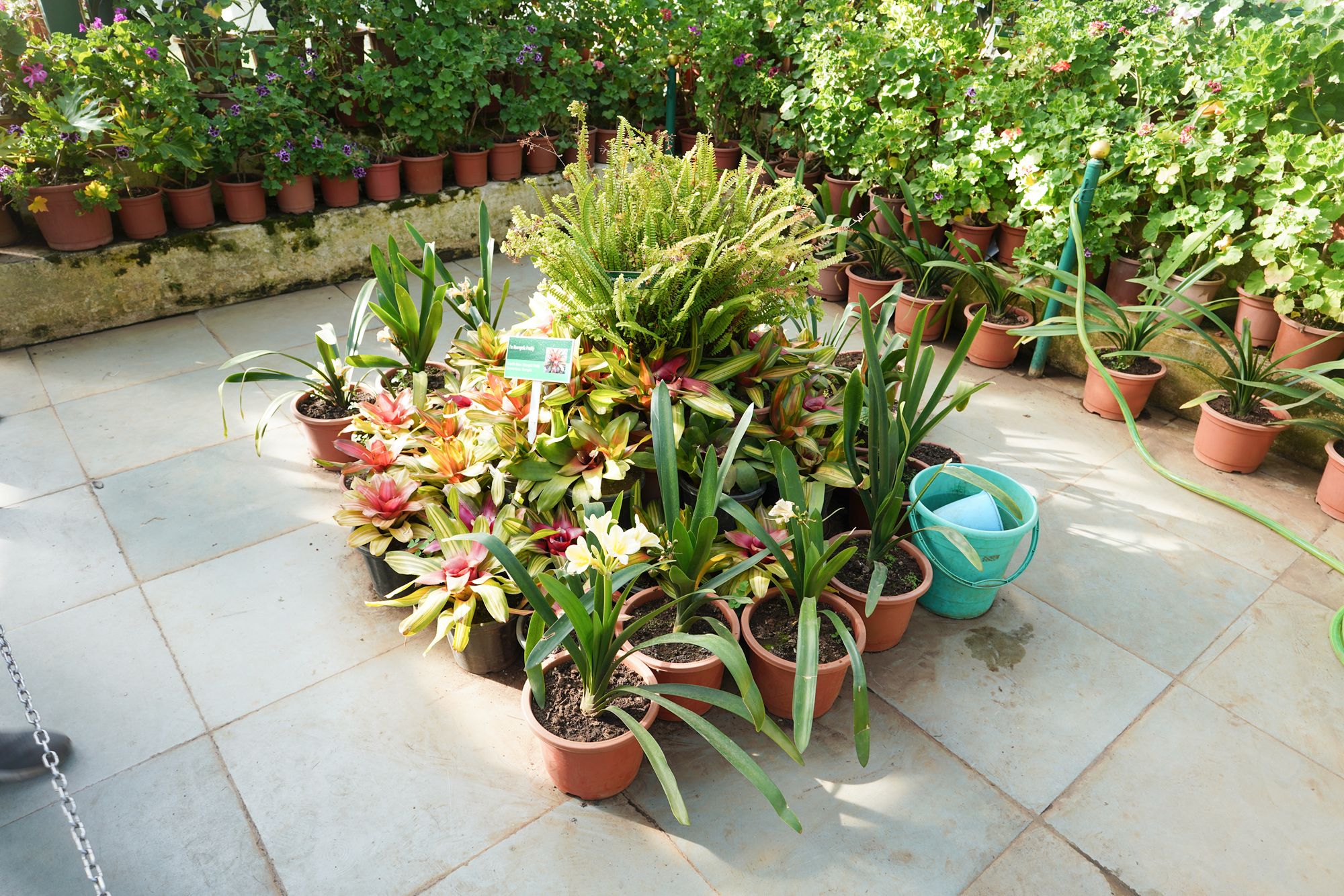 Coonoor, Muduralai NP (69)