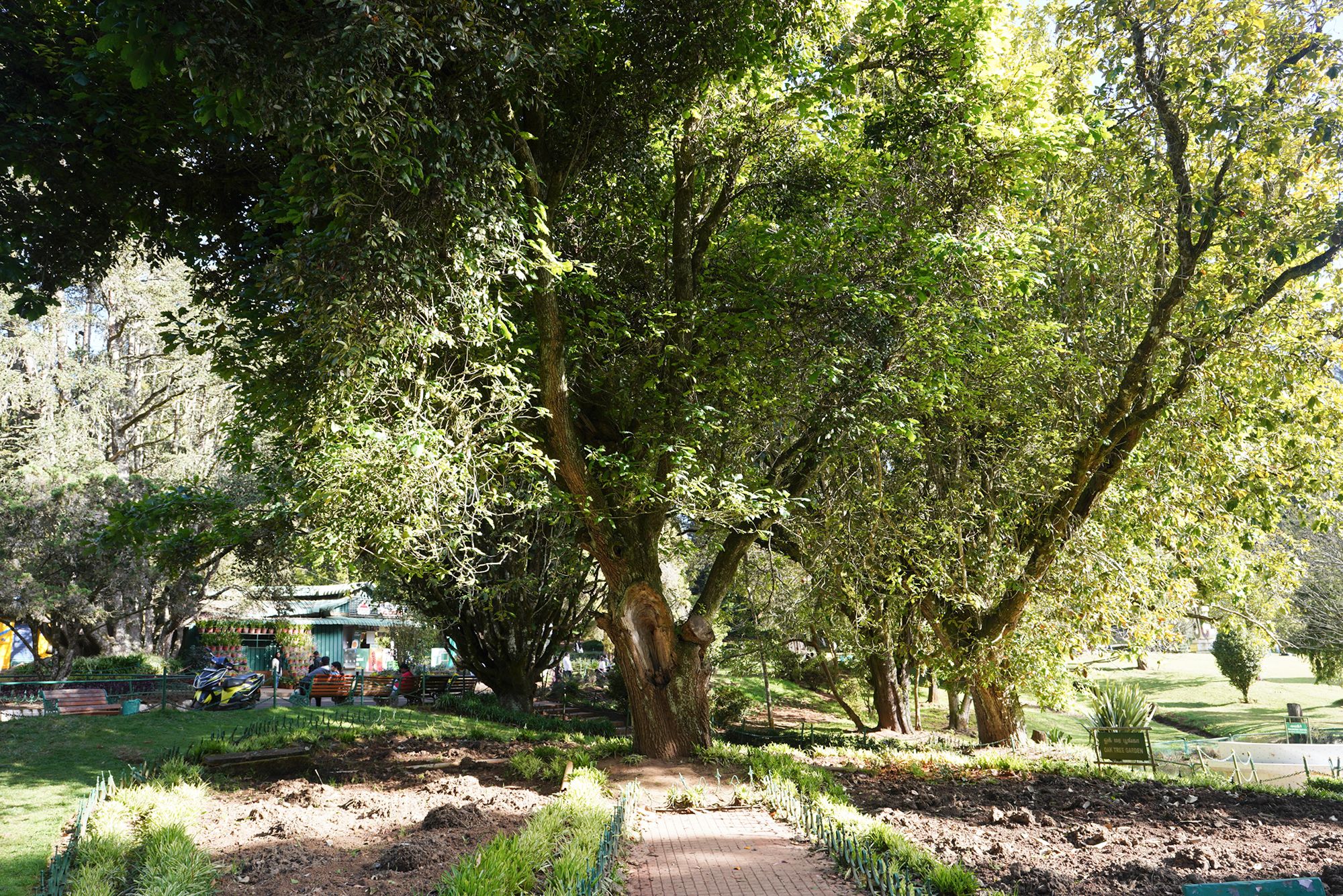 Coonoor, Muduralai NP (78)