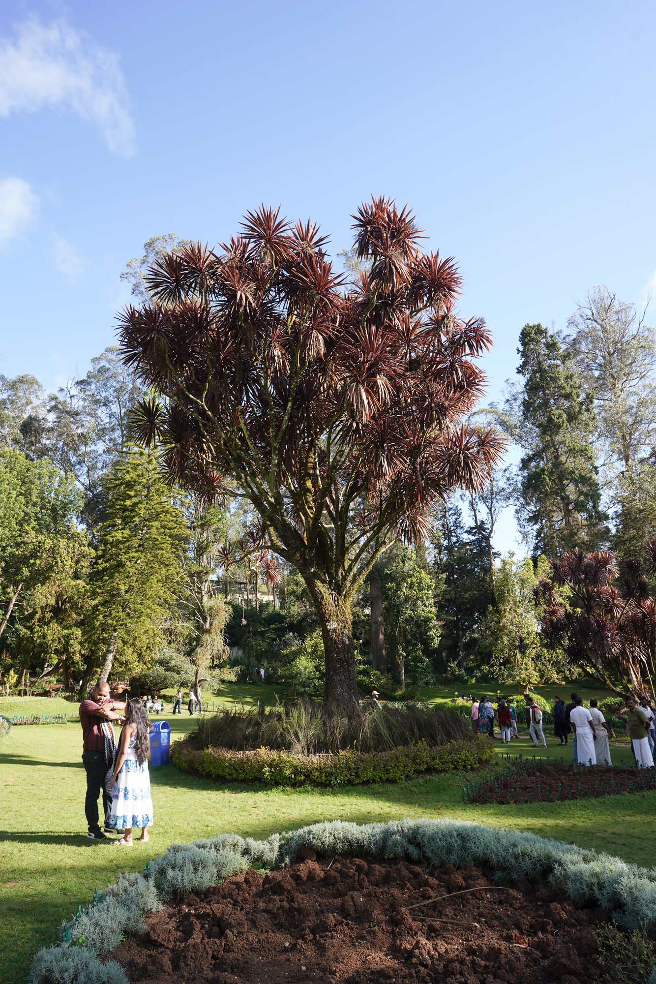 Coonoor, Muduralai NP (80)