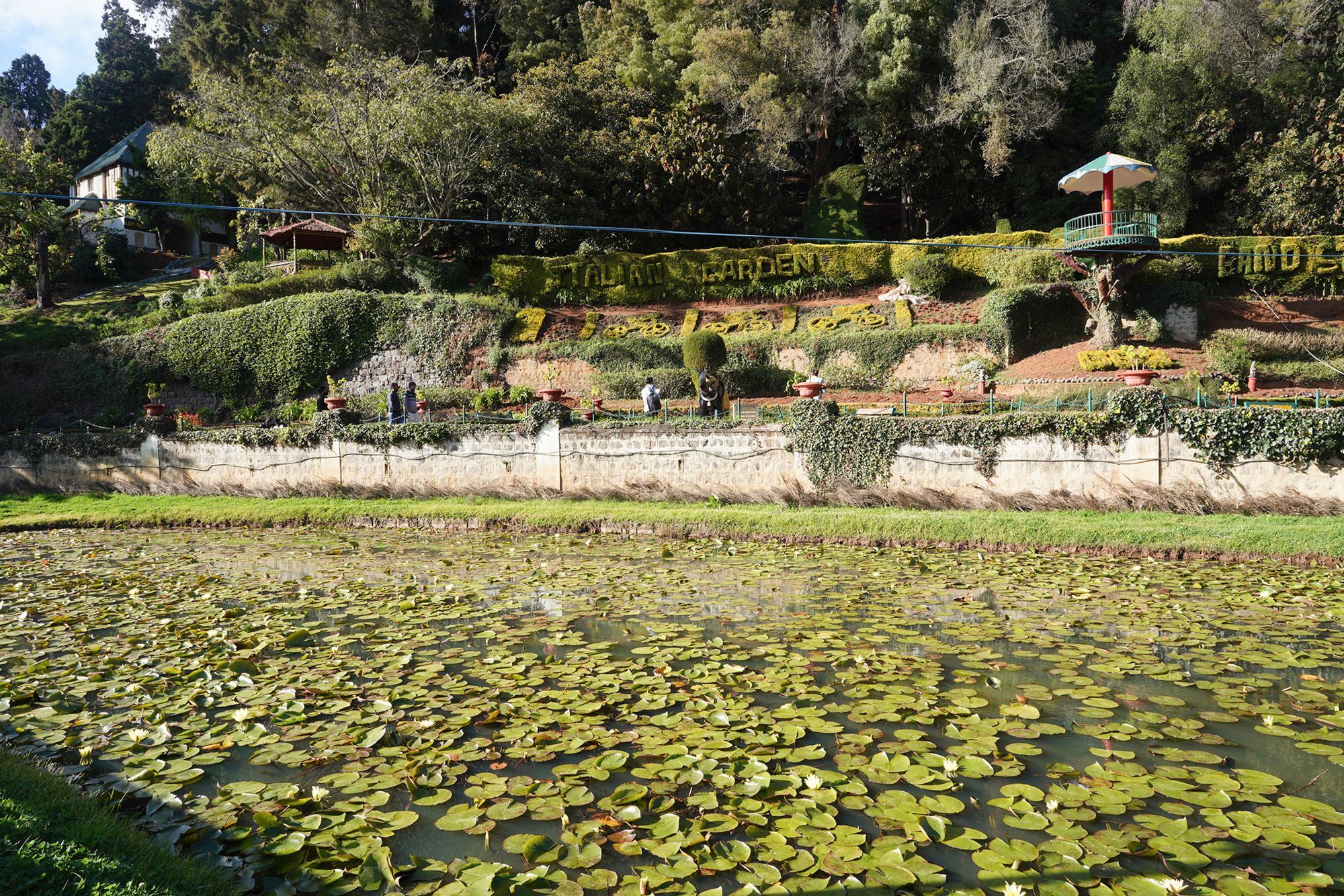 Coonoor, Muduralai NP (81)