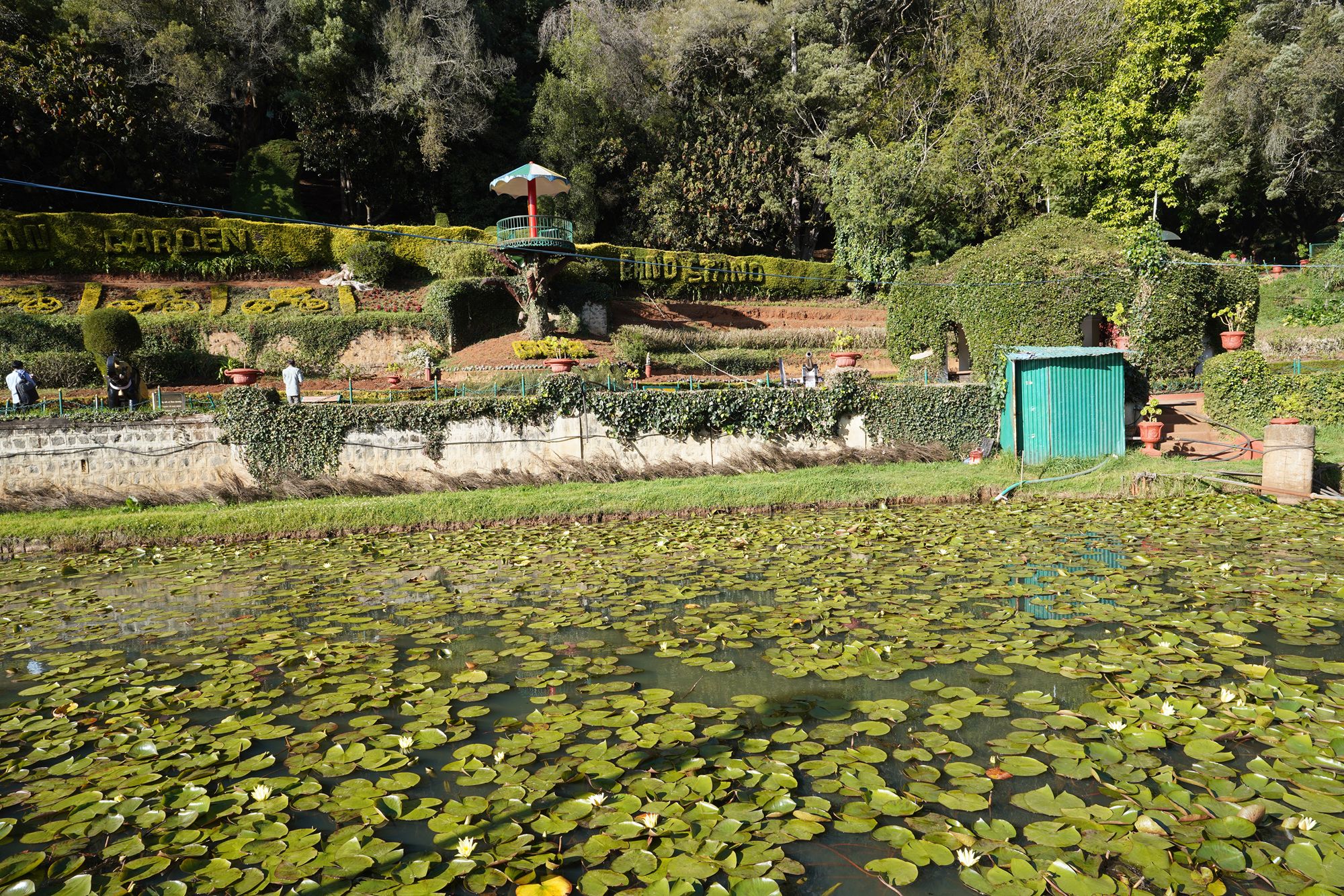 Coonoor, Muduralai NP (82)