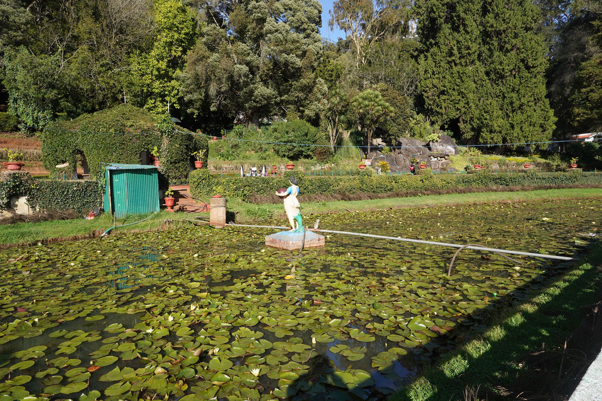 Coonoor, Muduralai NP (83)