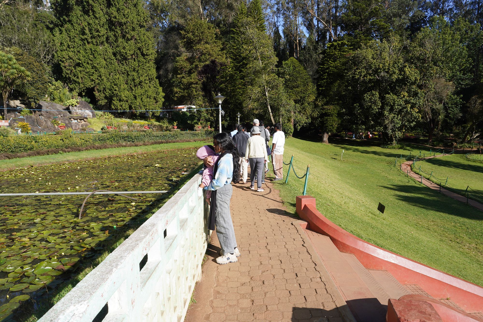 Coonoor, Muduralai NP (84)