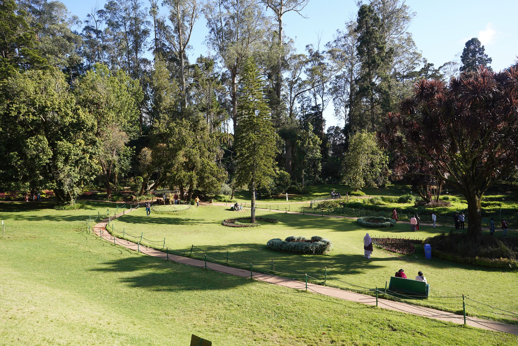 Coonoor, Muduralai NP (85)