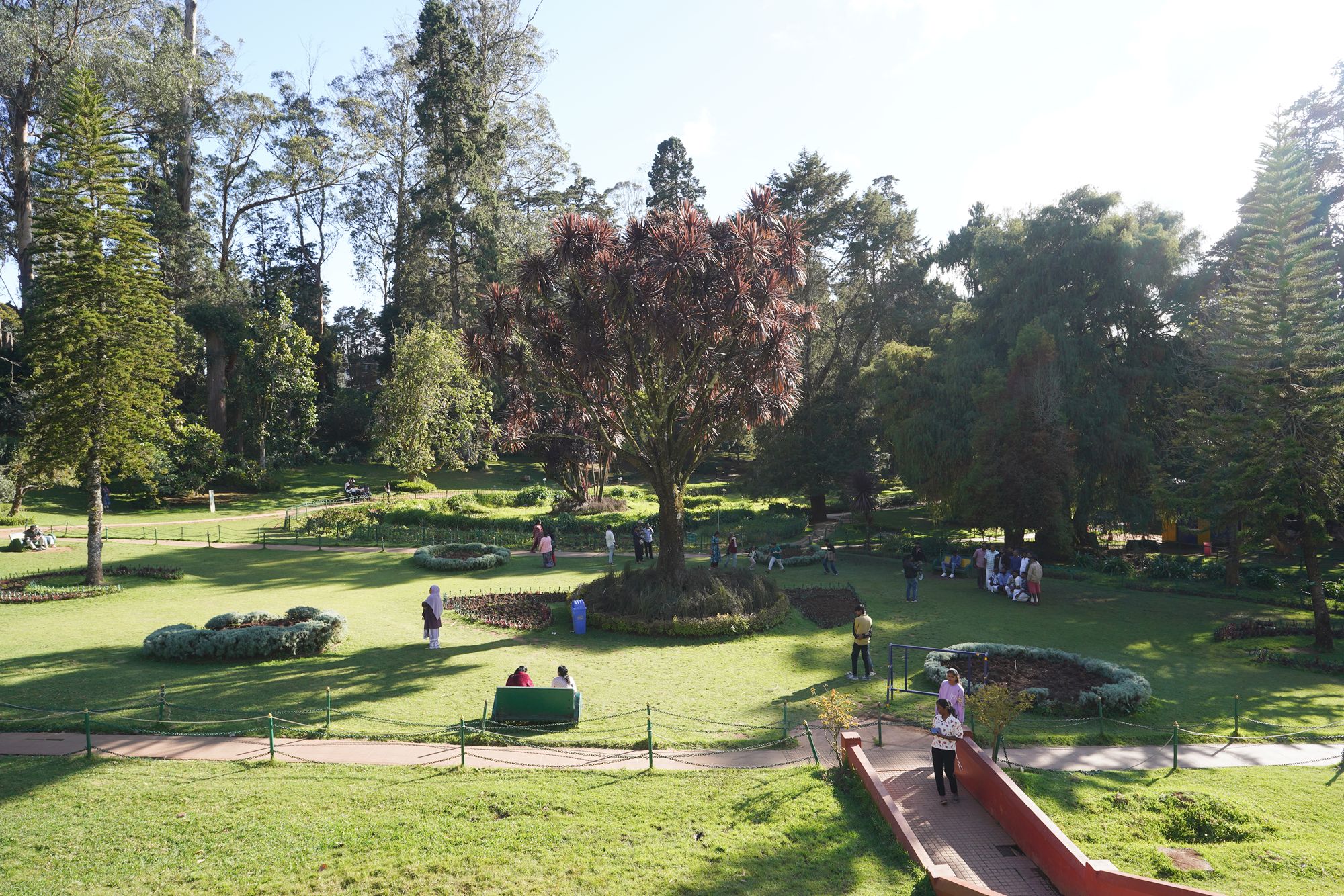 Coonoor, Muduralai NP (86)