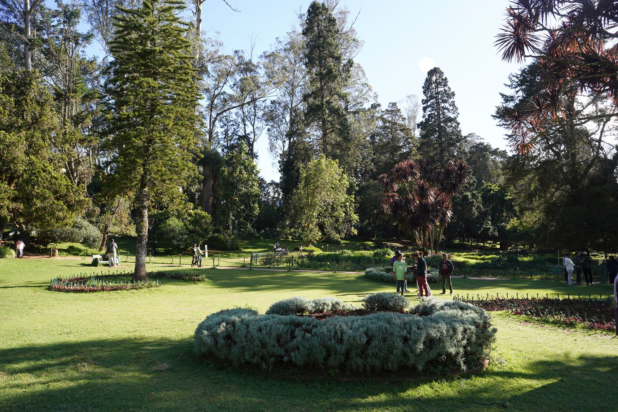 Coonoor, Muduralai NP (88)