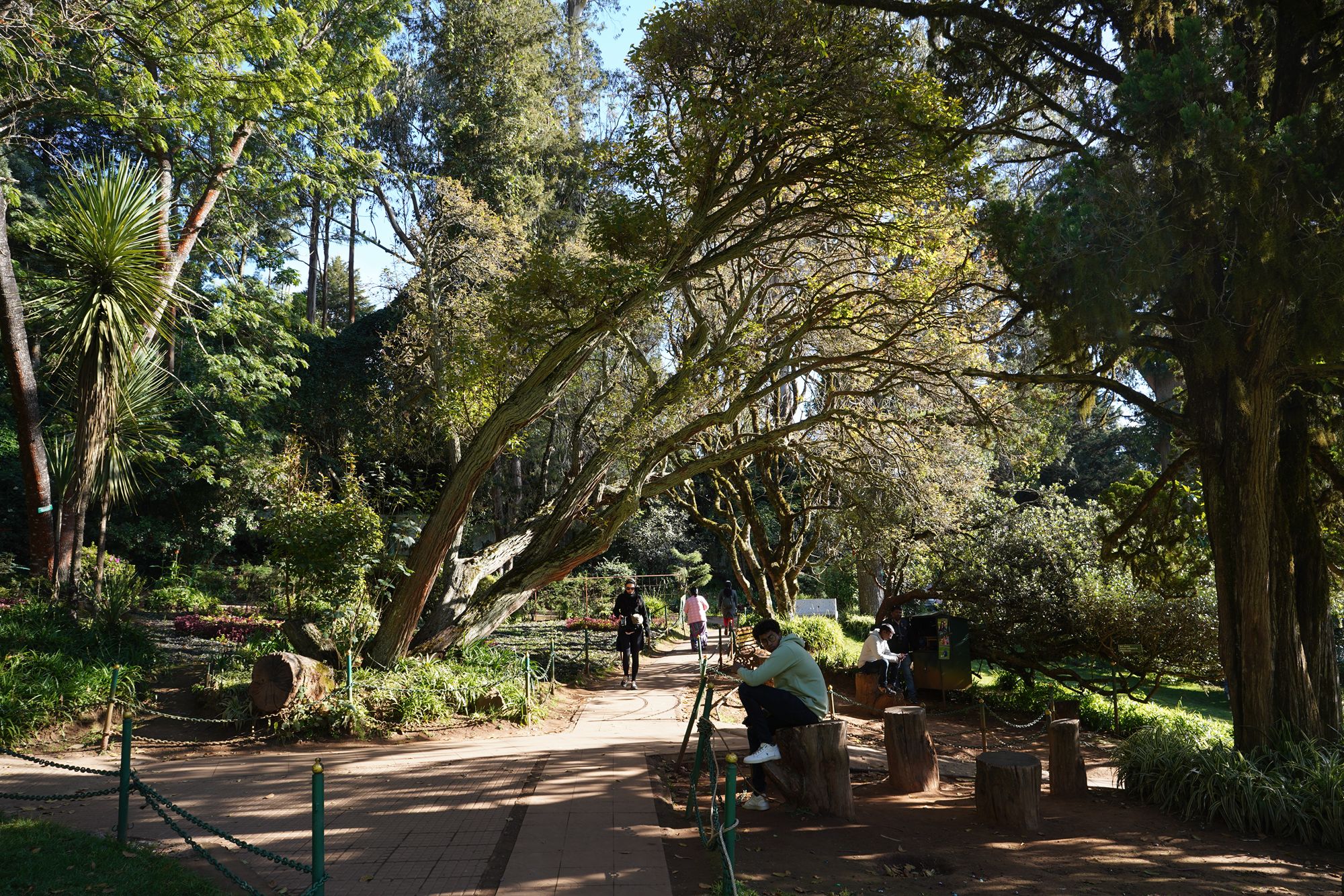 Coonoor, Muduralai NP (90)