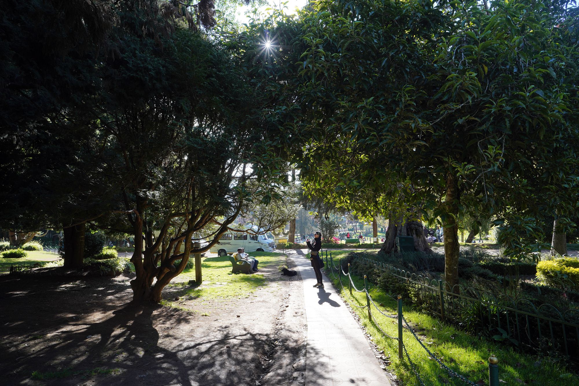 Coonoor, Muduralai NP (92)