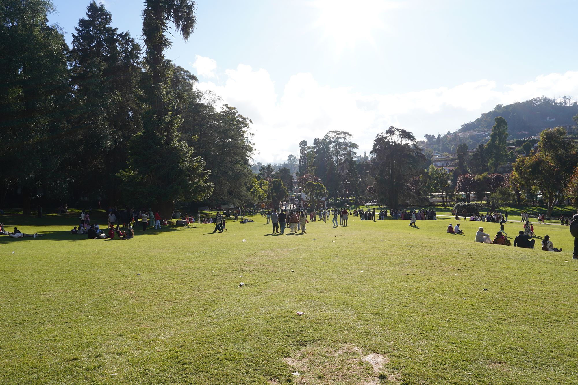 Coonoor, Muduralai NP (95)