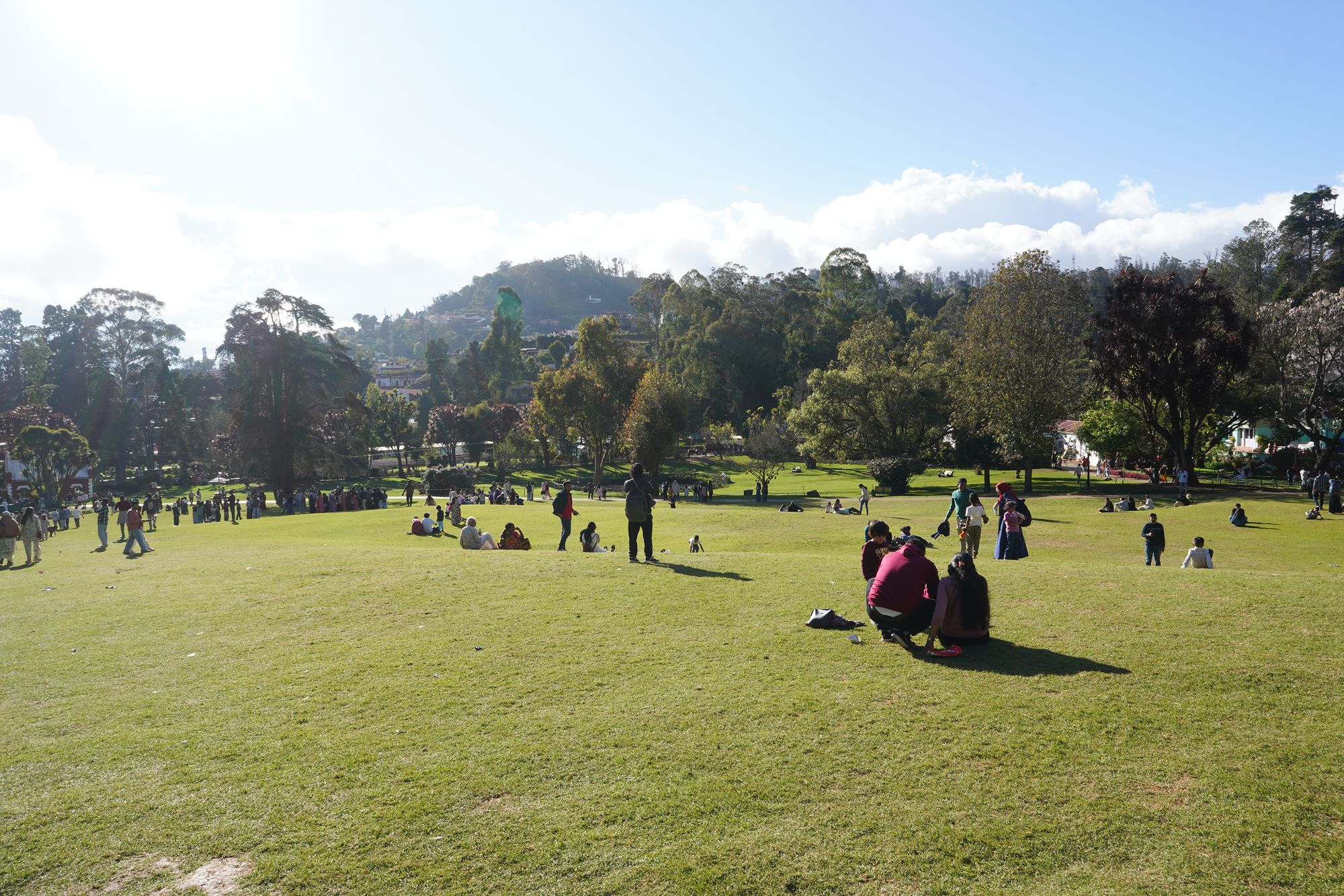 Coonoor, Muduralai NP (96)