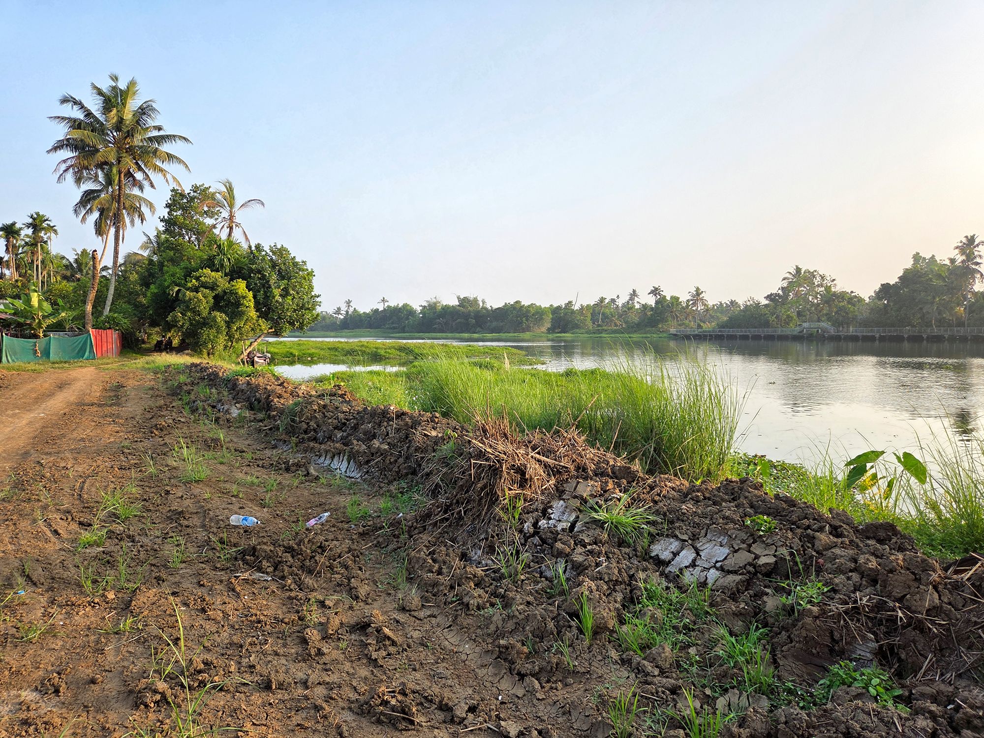 Kerala Backwaters (17)