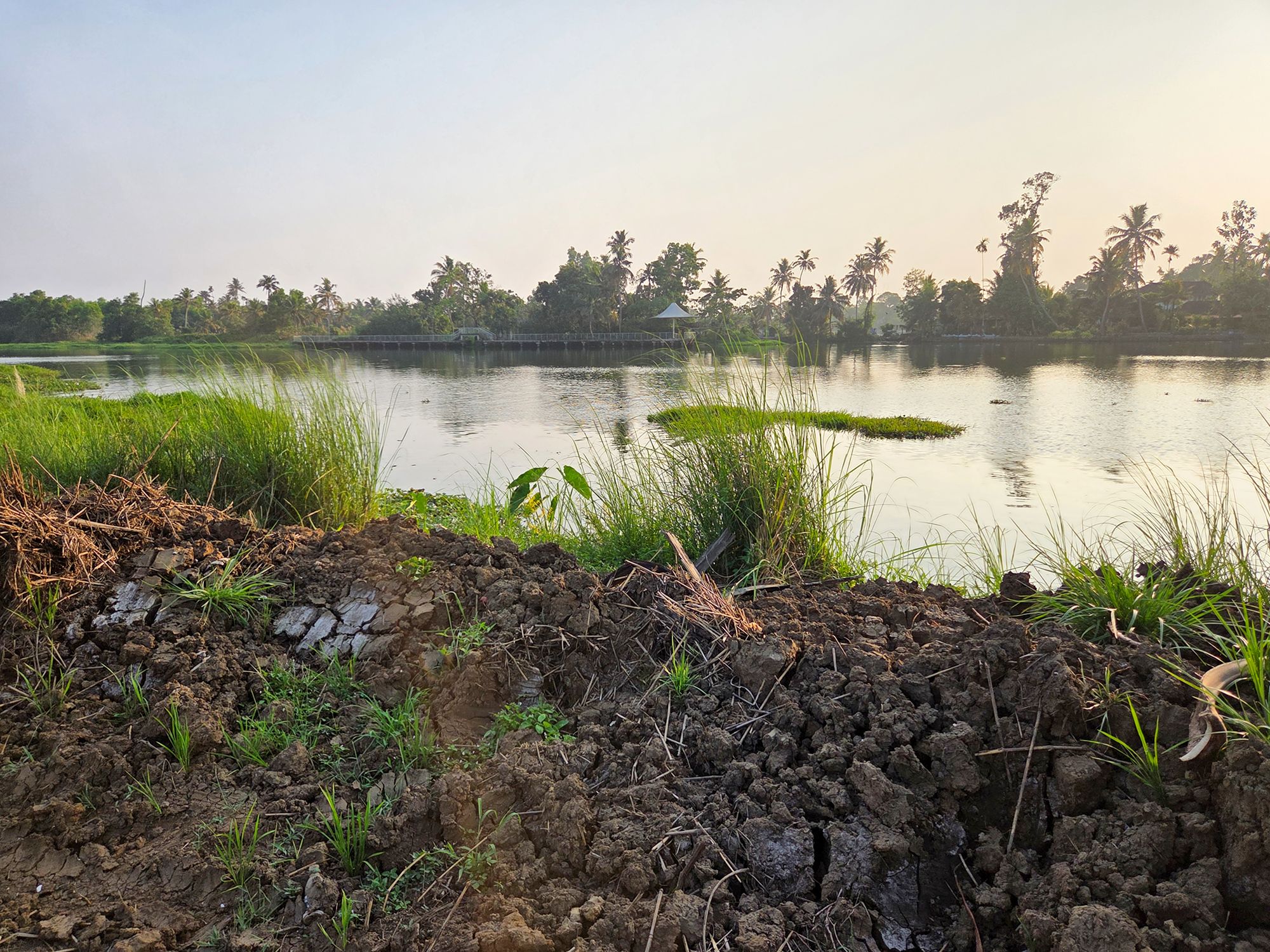 Kerala Backwaters (18)