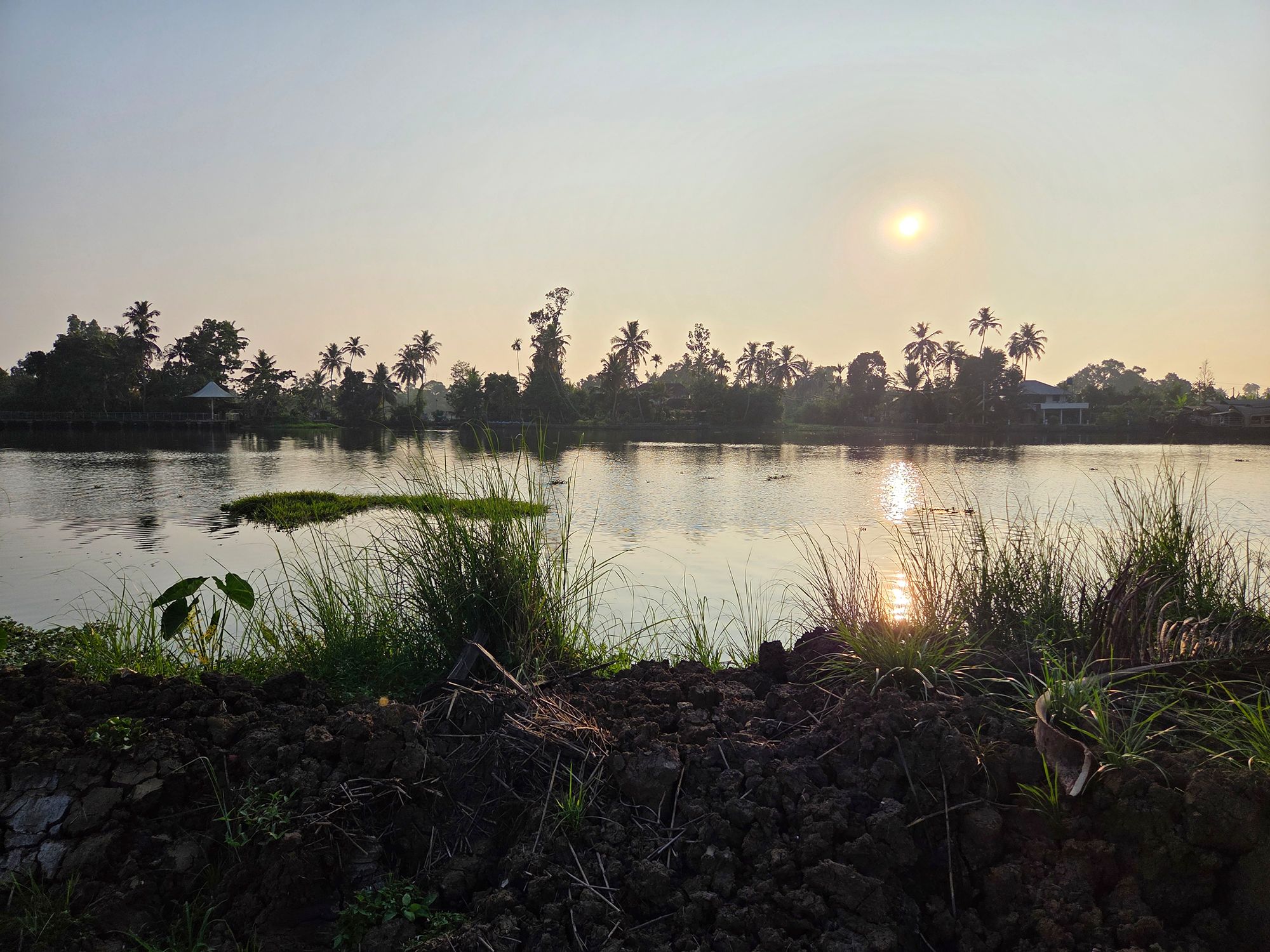 Kerala Backwaters (19)
