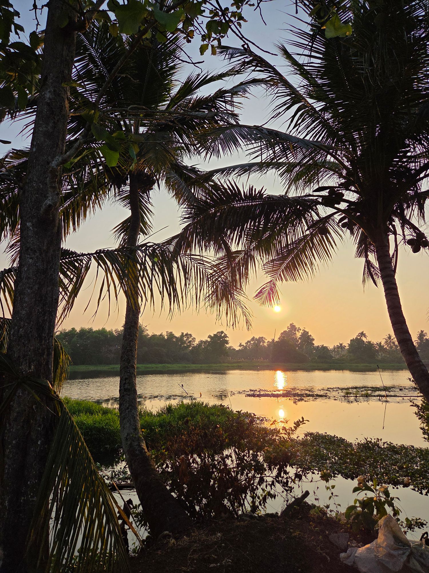 Kerala Backwaters (28)