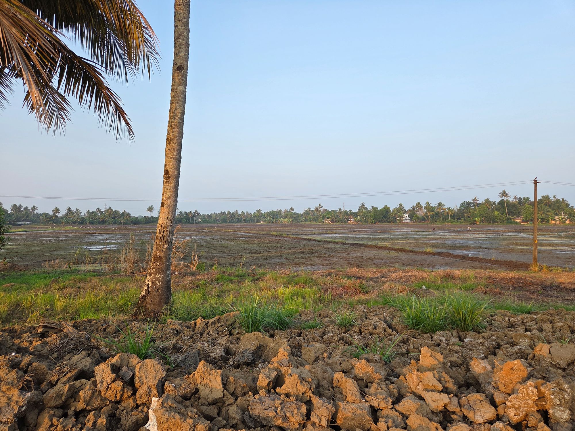 Kerala Backwaters (30)