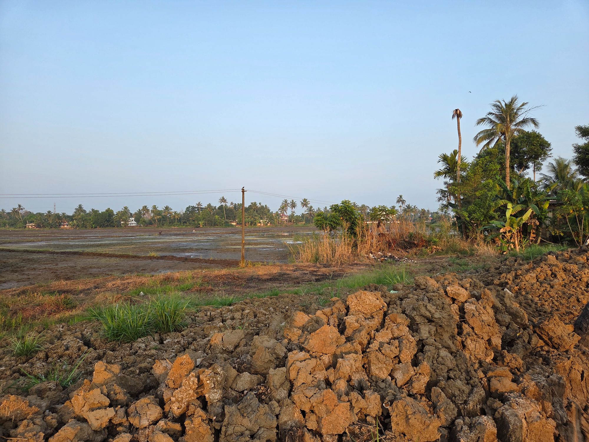 Kerala Backwaters (31)