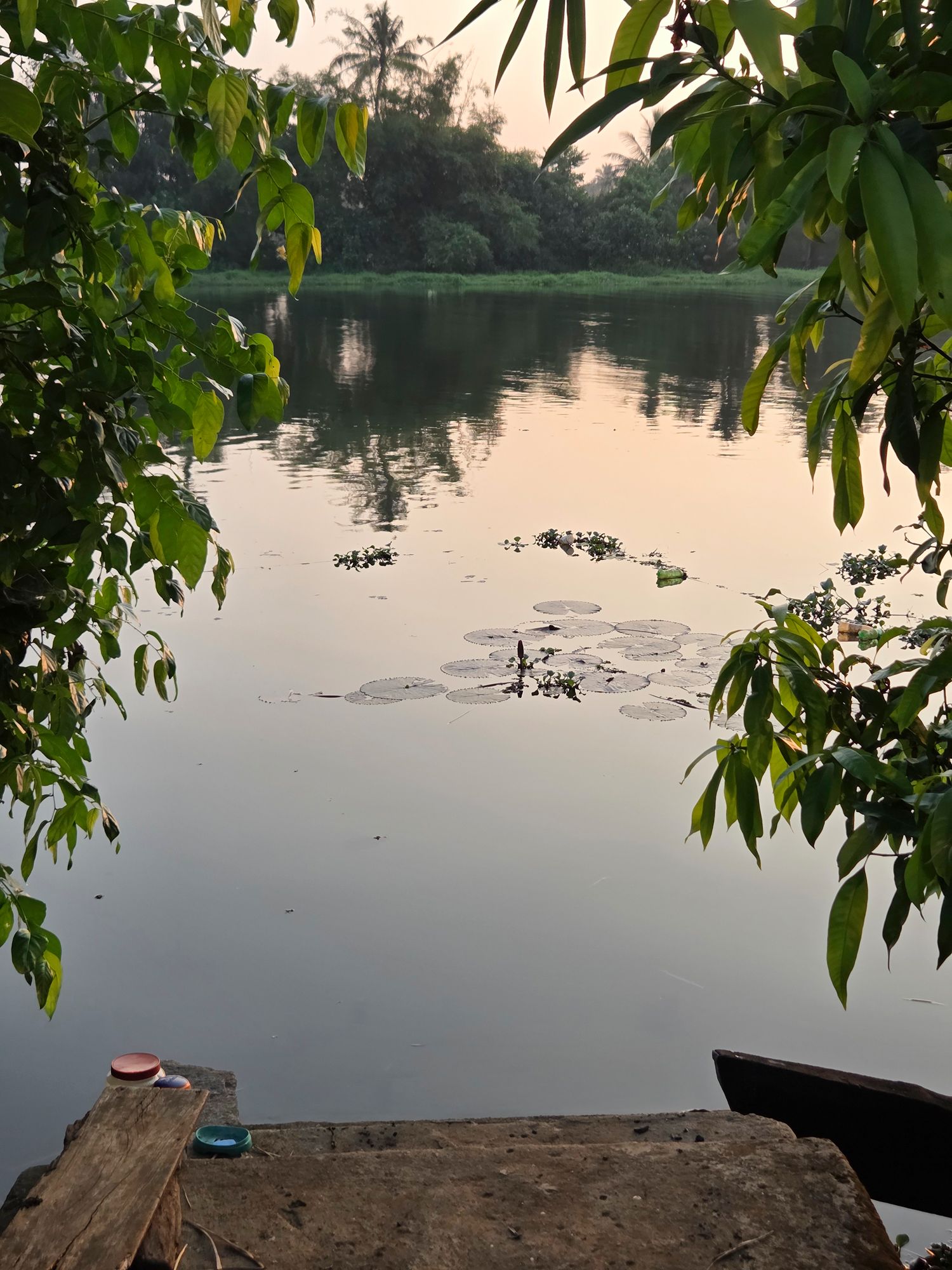 Kerala Backwaters (39)
