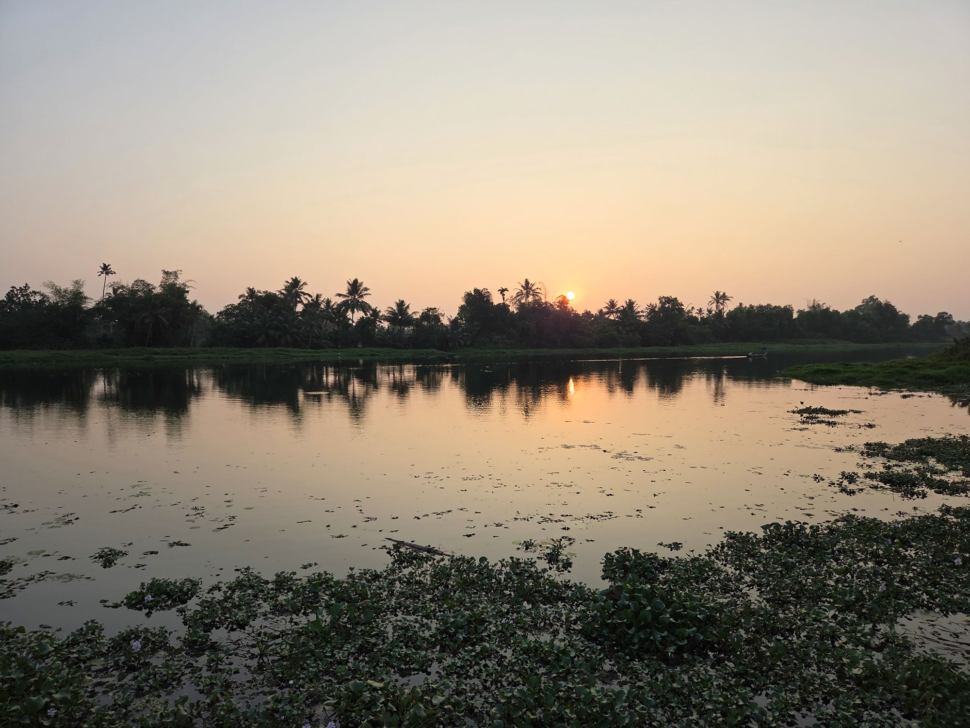 Kerala Backwaters (41)